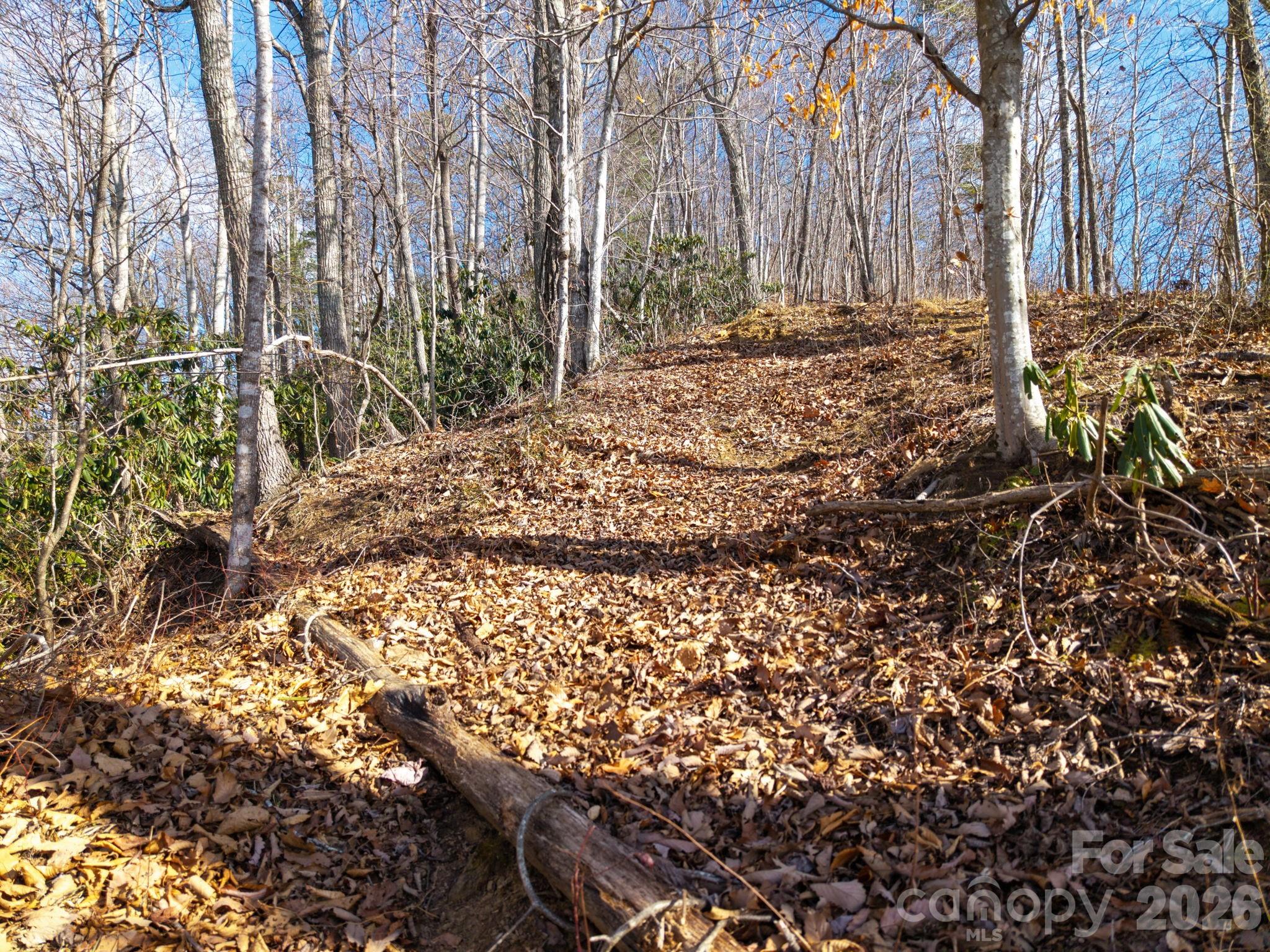 000 Bee Tree Road 103b Property Photo 16