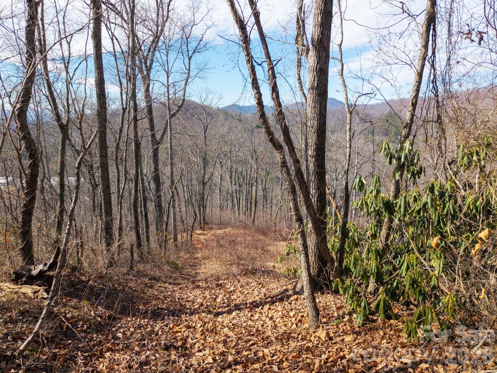 000 Bee Tree Road 103b Property Photo 17