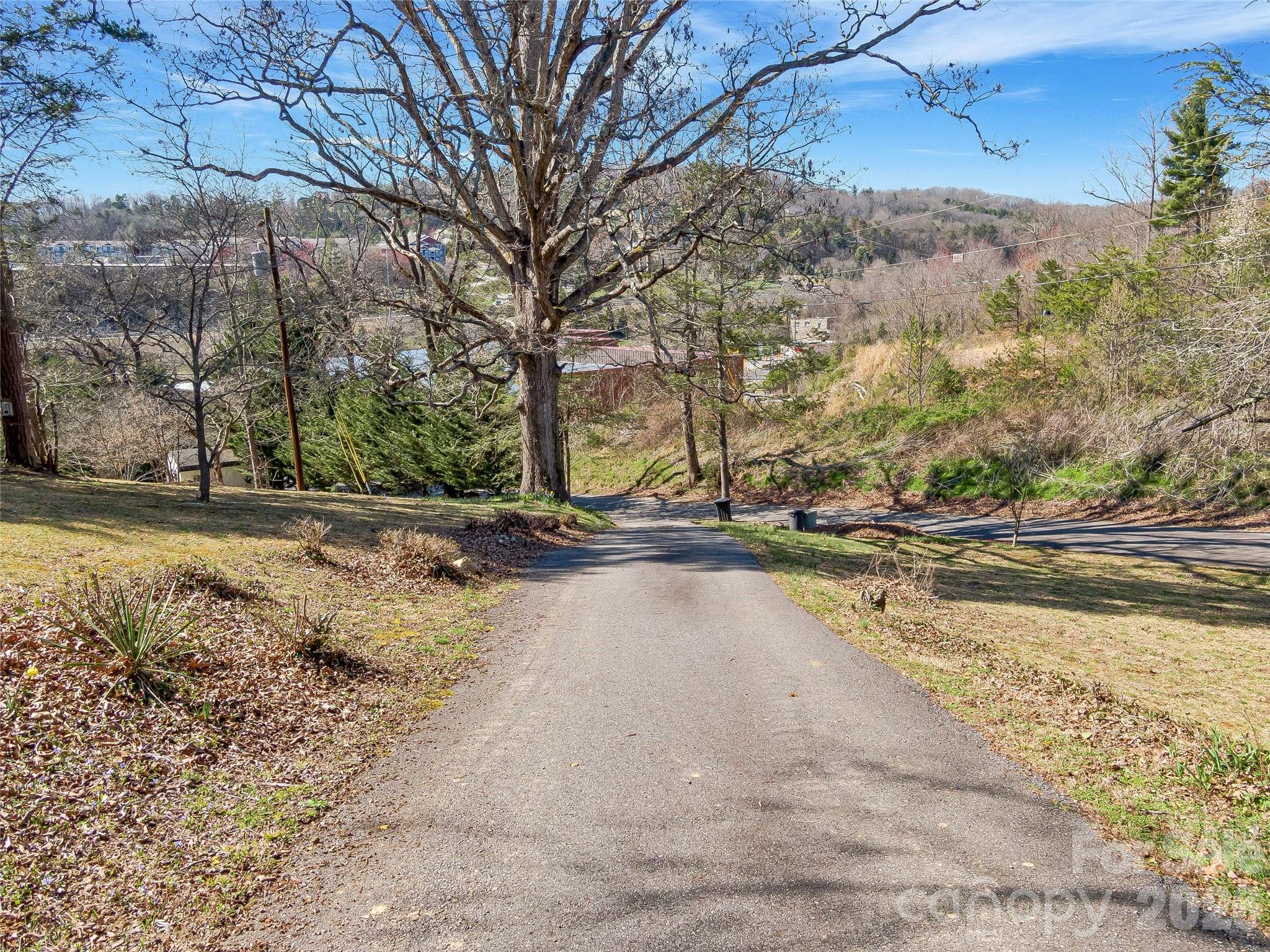 103 Weaverville Road Property Photo 9