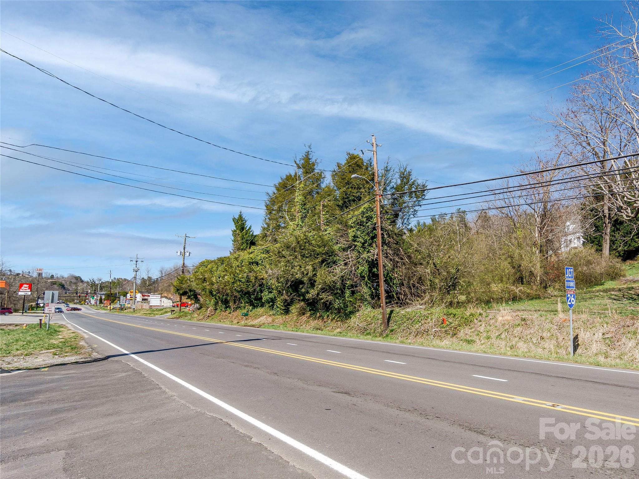 103 Weaverville Road Property Photo 19
