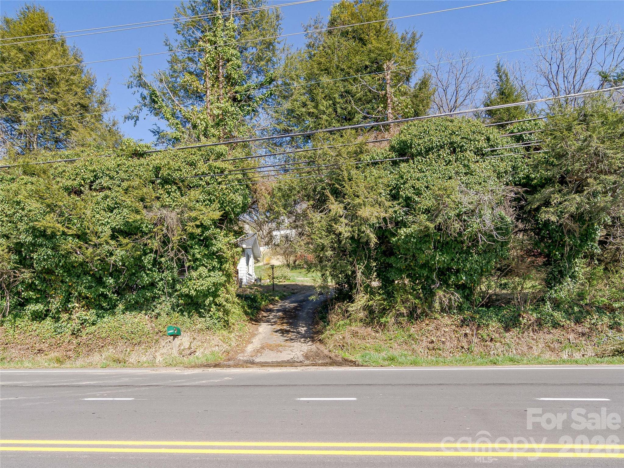 103 Weaverville Road Property Photo 20