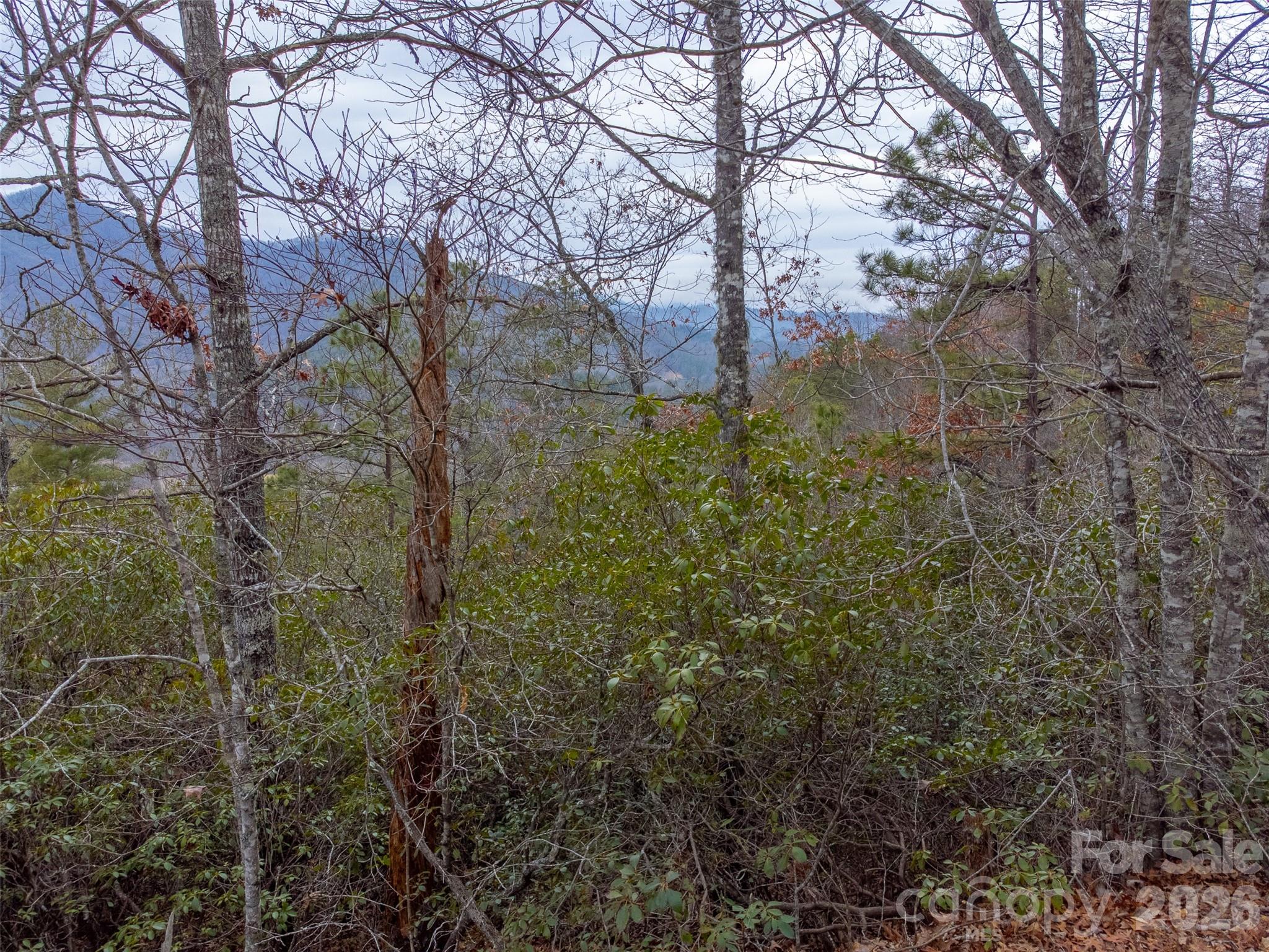 9999 Lower Burningtown Road Property Photo 4