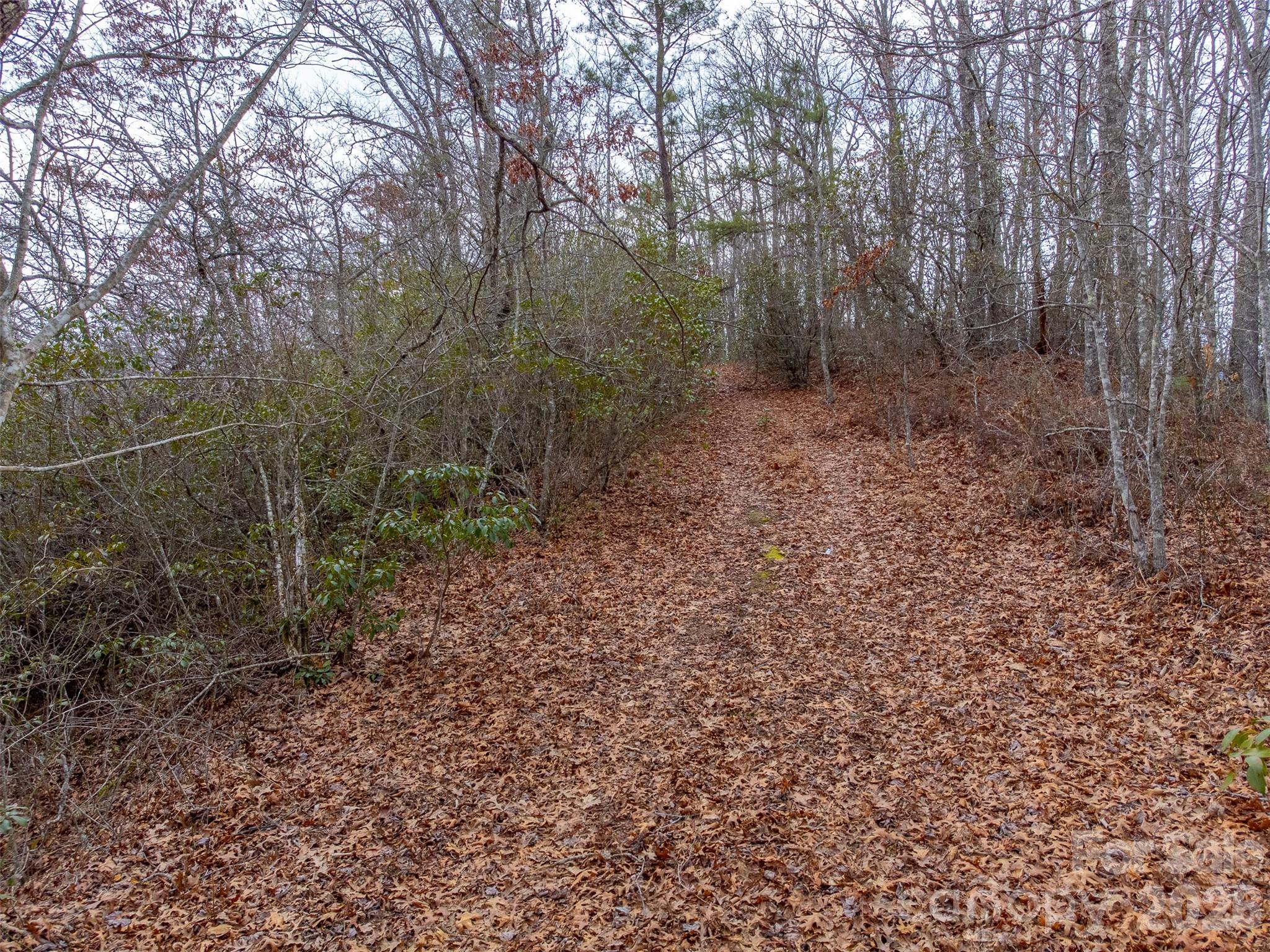 9999 Lower Burningtown Road Property Photo 9