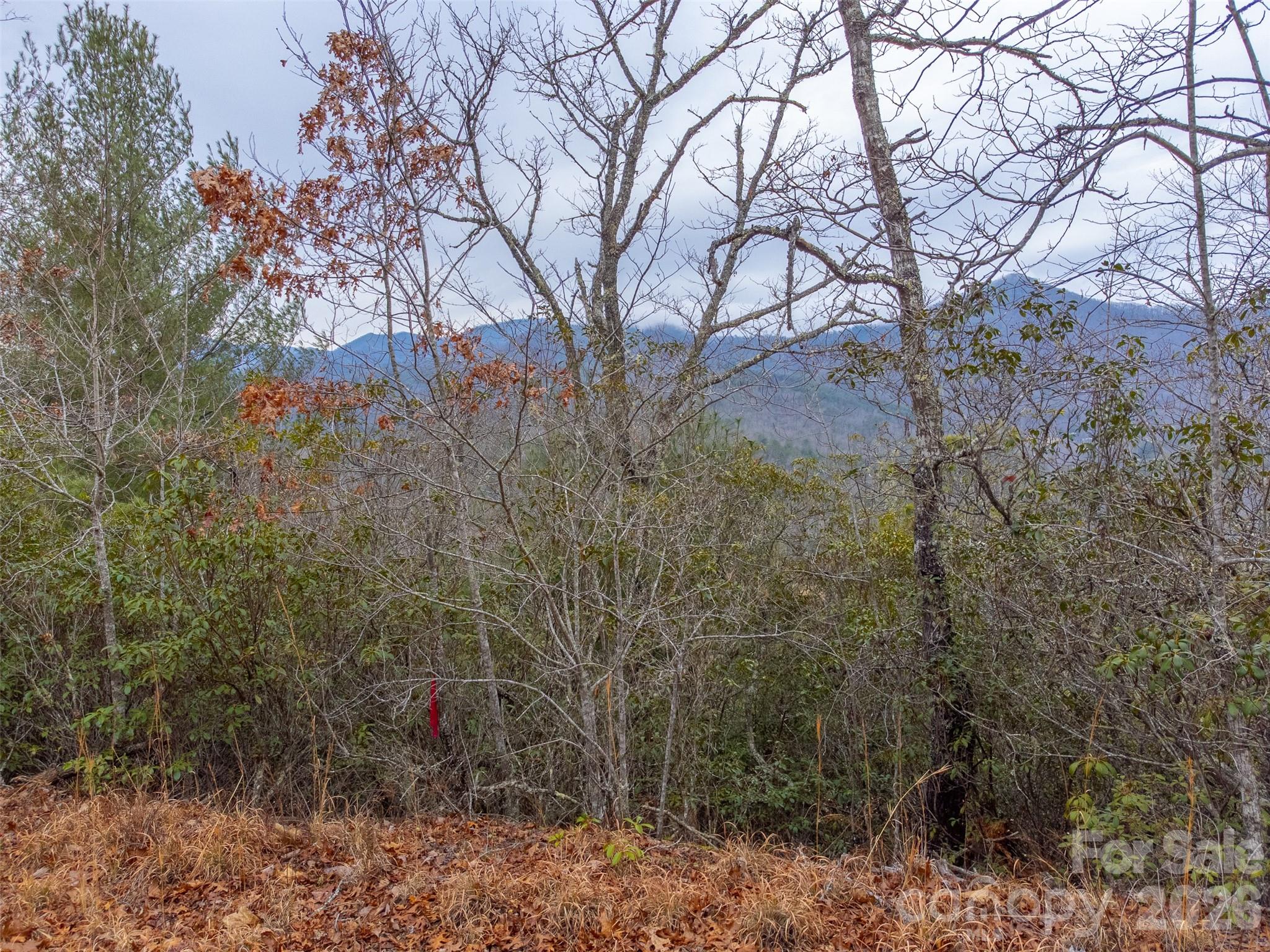 9999 Lower Burningtown Road Property Photo 25