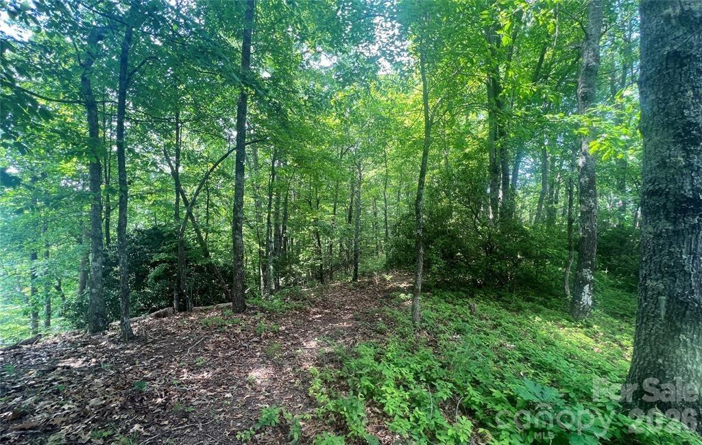 Lot 10 Joshua Road Property Photo 14
