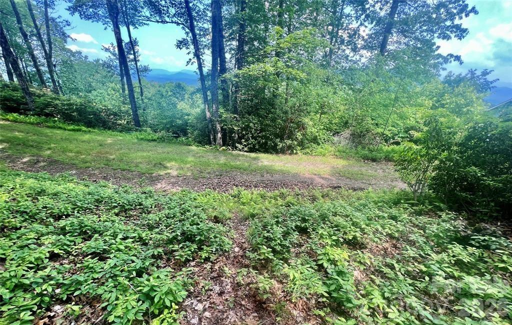 Lot 10 Joshua Road Property Photo 15