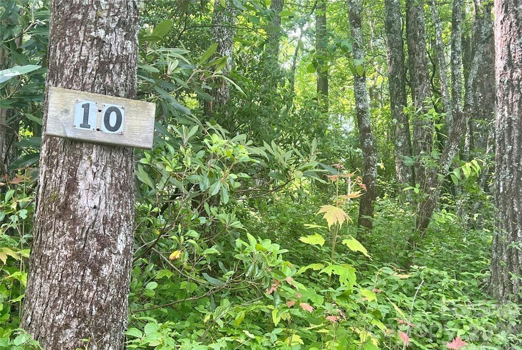 Lot 10 Joshua Road Property Photo 16