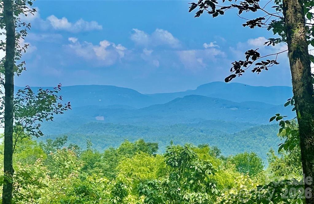 Lot 10 Joshua Road Property Photo 19