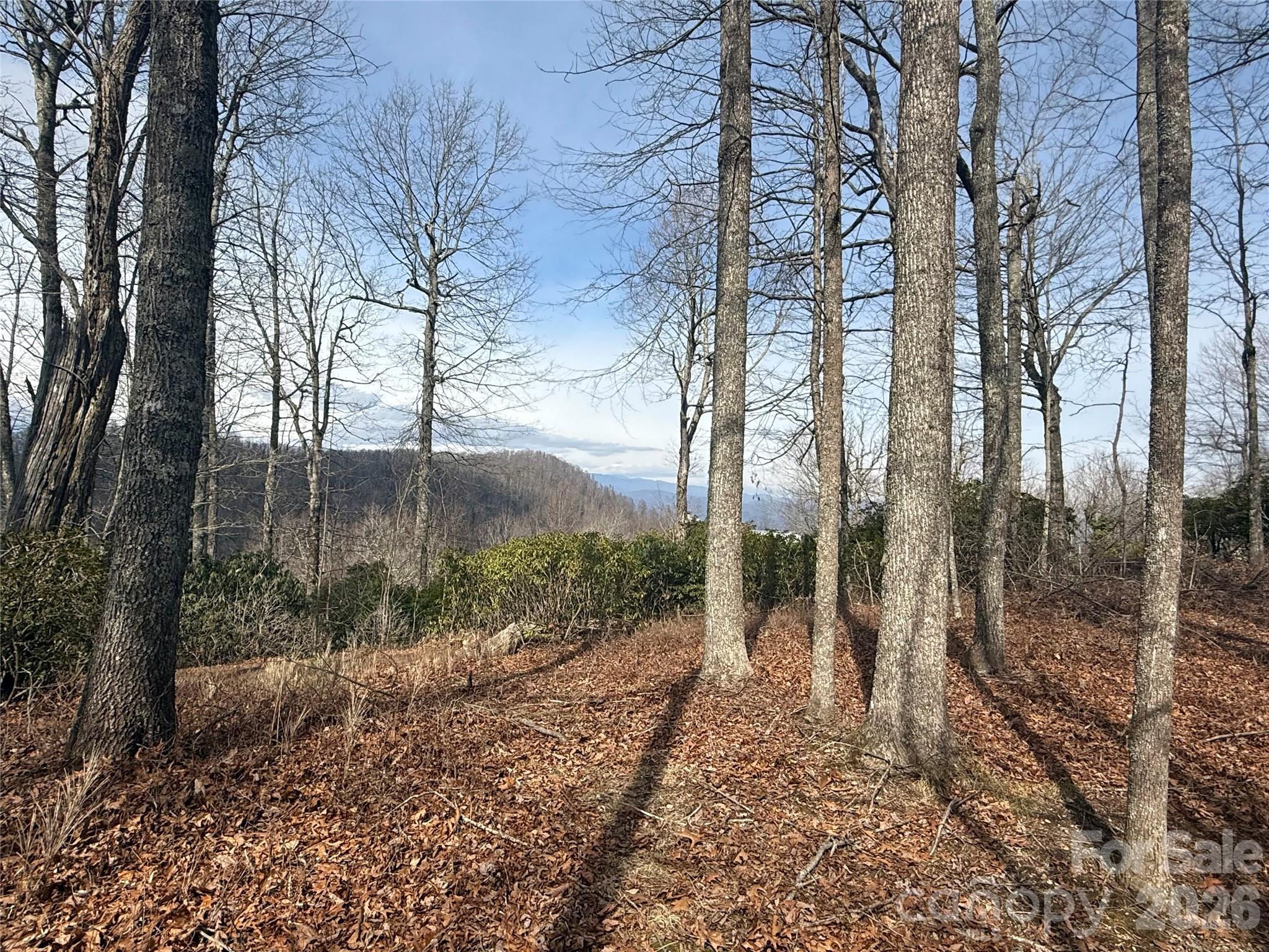 Lot 10 Joshua Road Property Photo 26