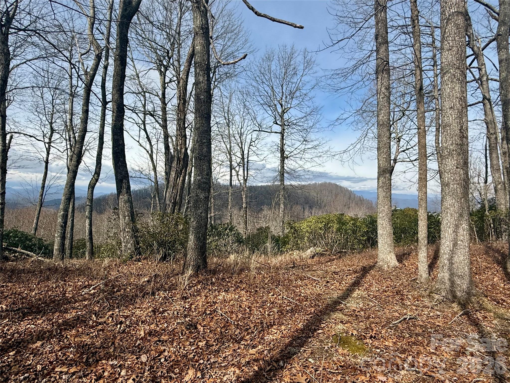Lot 10 Joshua Road Property Photo 27
