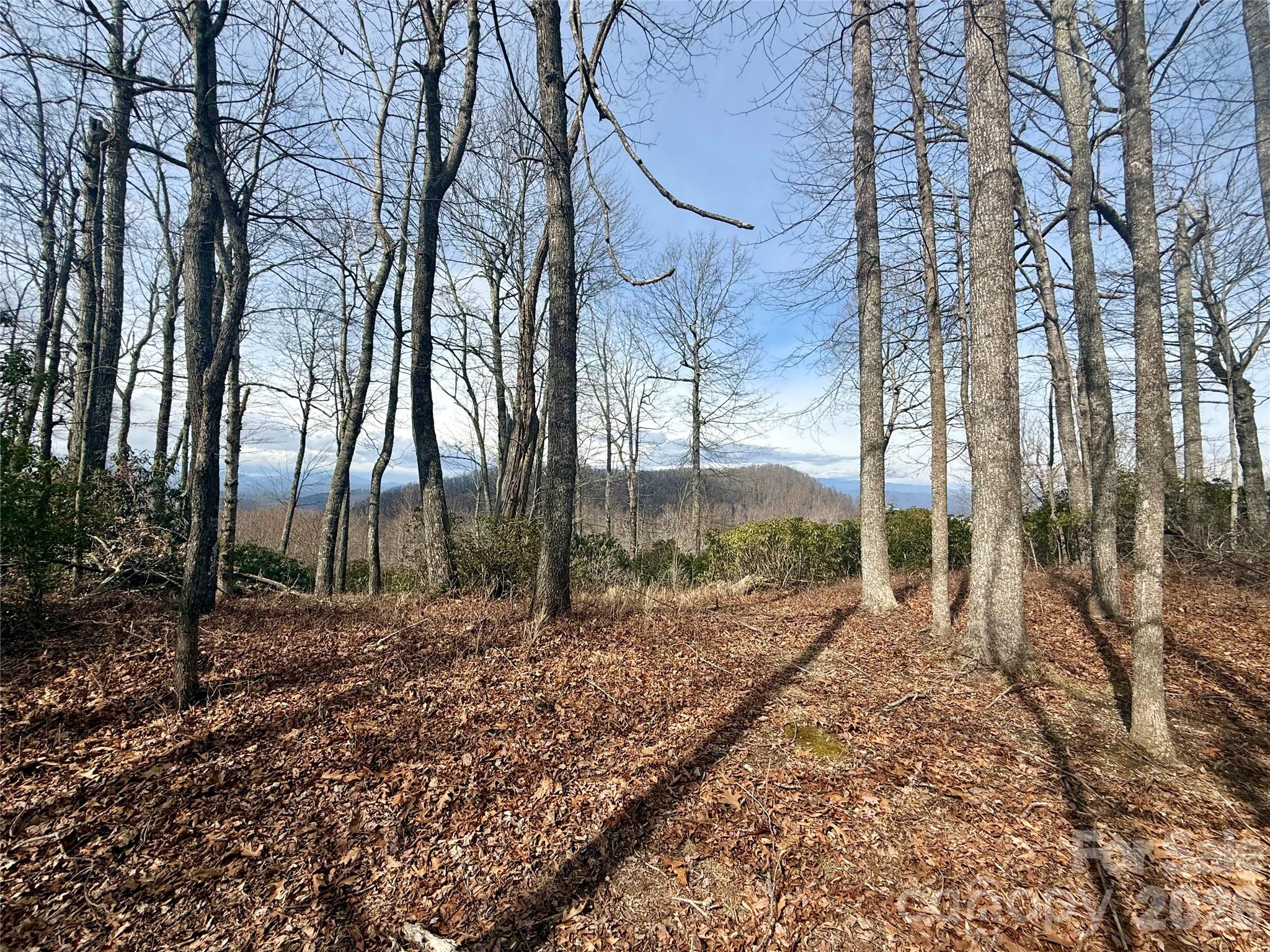 Lot 10 Joshua Road Property Photo 28