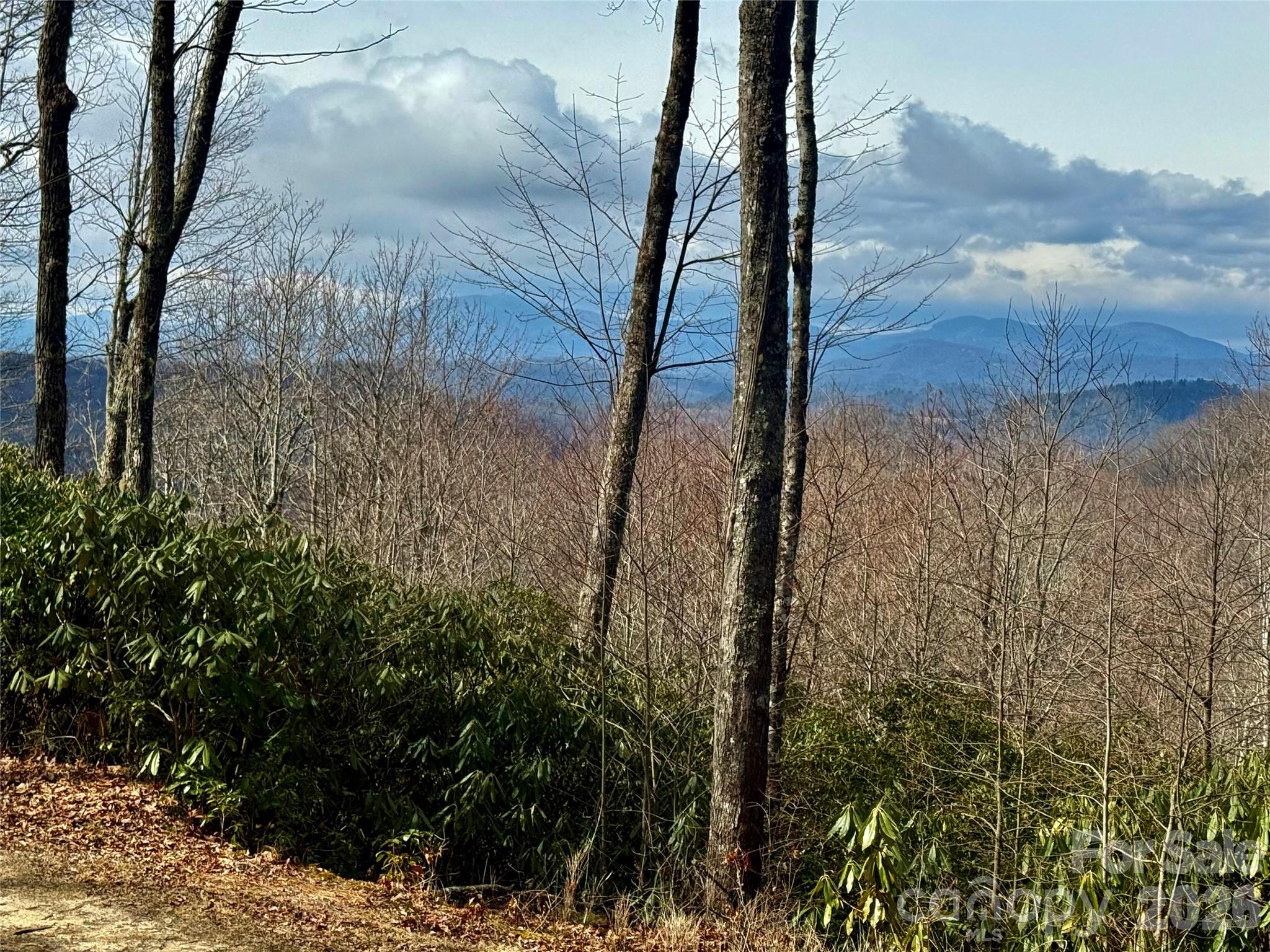 Lot 10 Joshua Road Property Photo 35