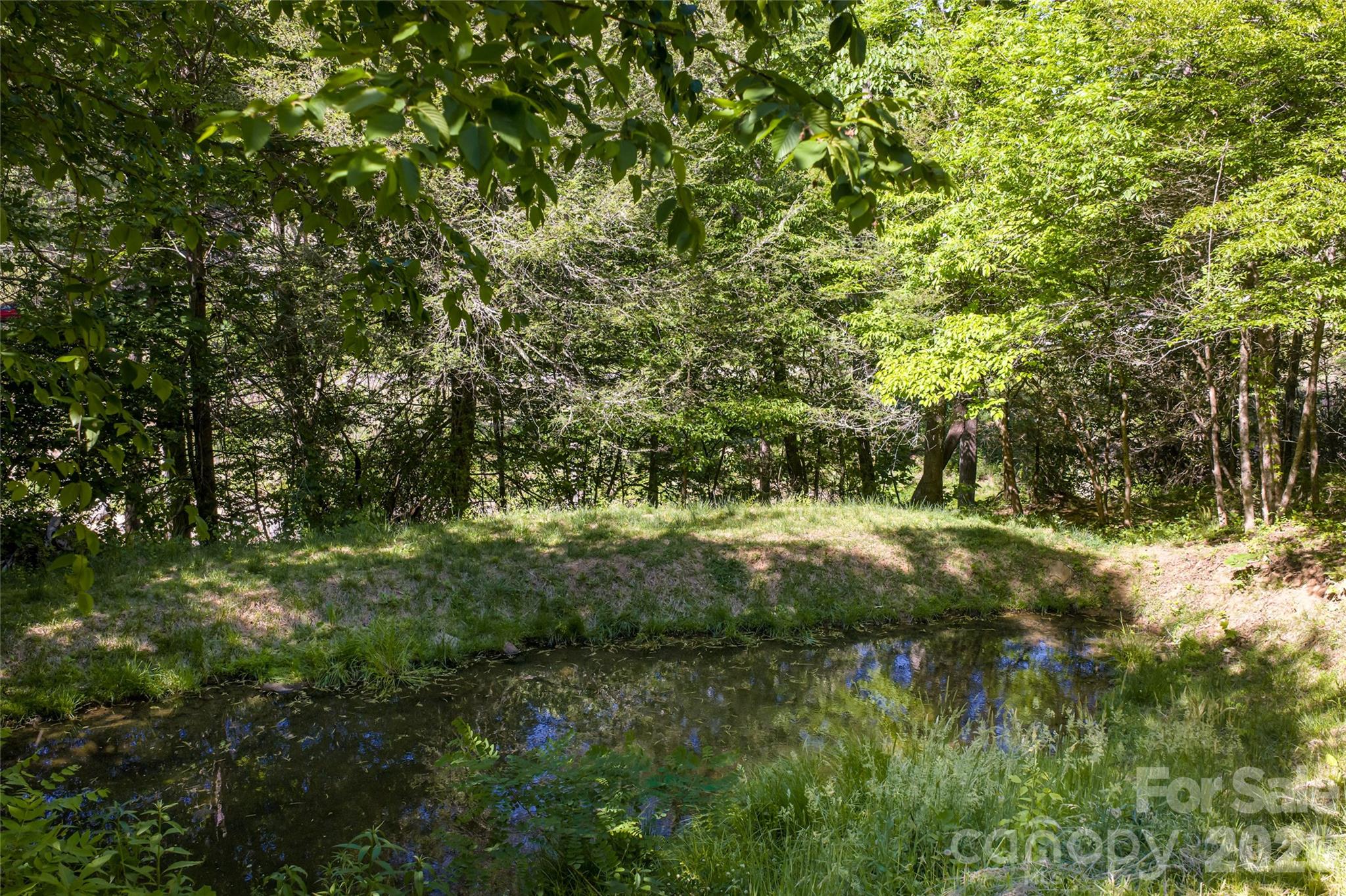 64 Hobson Branch Road Property Photo 35