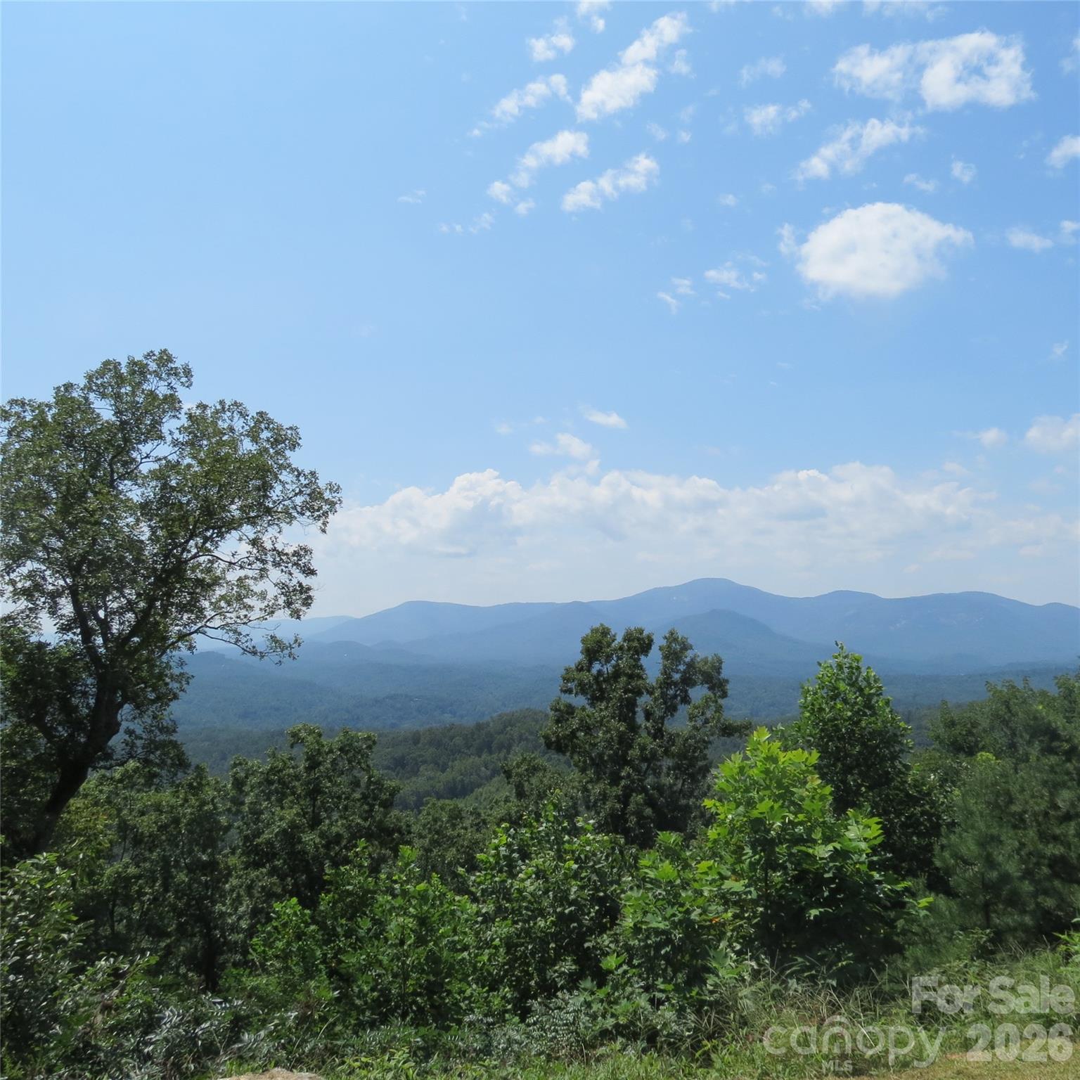 336 Willow Top Lane 336