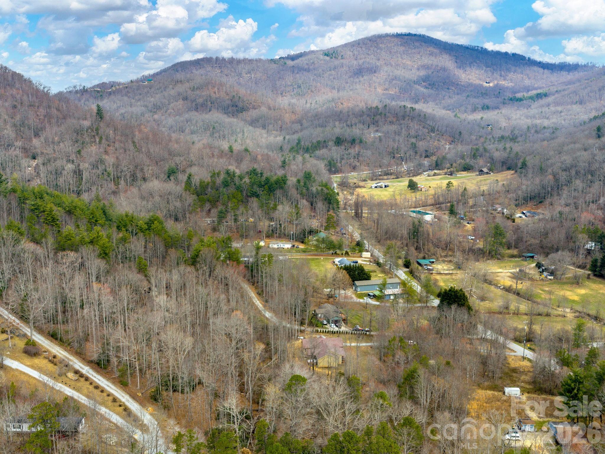 1230 Terrys Gap Road Property Photo 28
