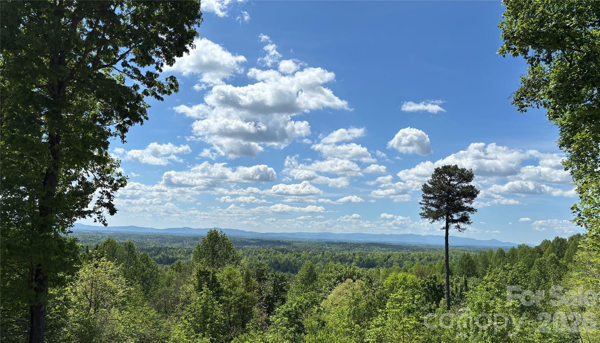 1234 Johns Ridge Parkway 204de Property Photo 1