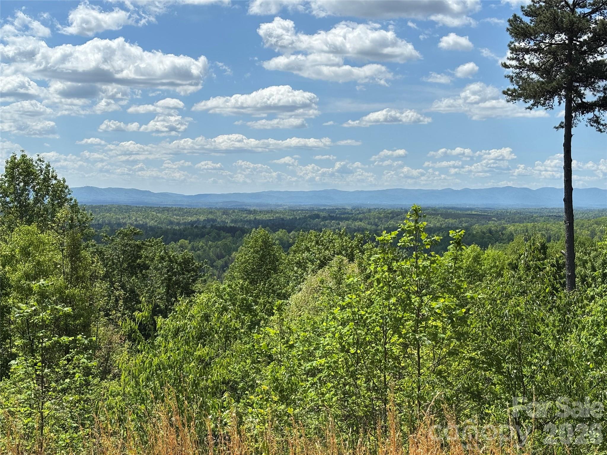 1234 Johns Ridge Parkway 204de Property Photo 2
