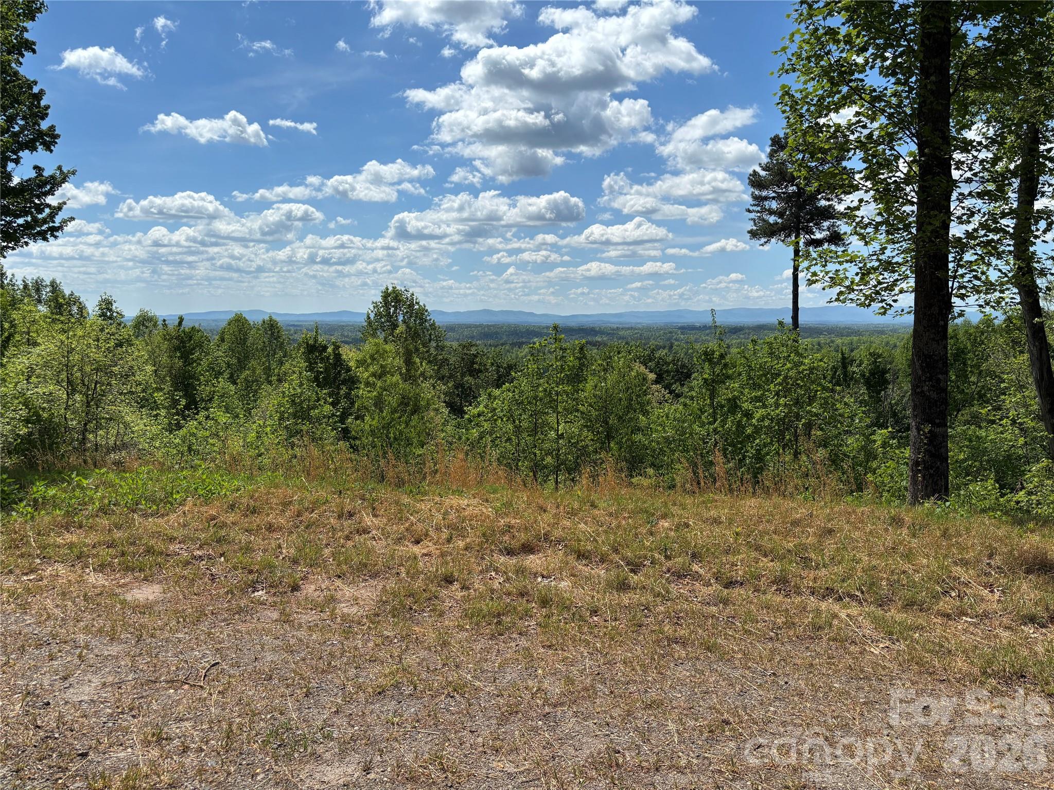 1234 Johns Ridge Parkway 204de Property Photo 3