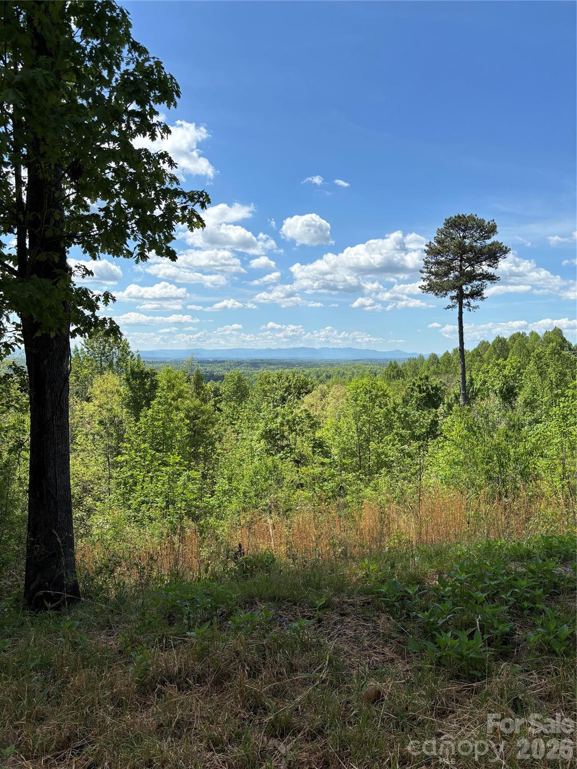 1234 Johns Ridge Parkway 204de Property Photo 4