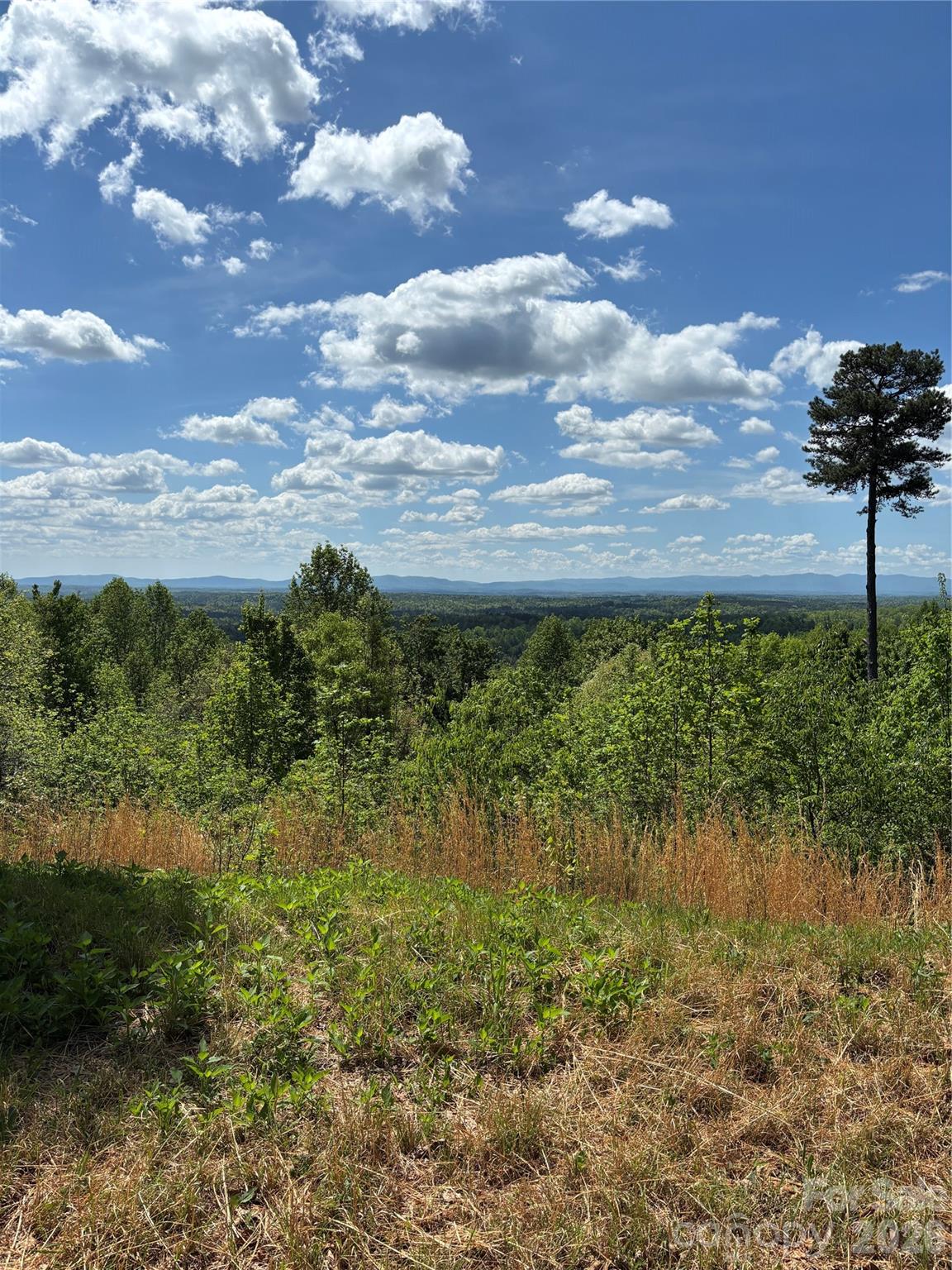 1234 Johns Ridge Parkway 204de Property Photo 5