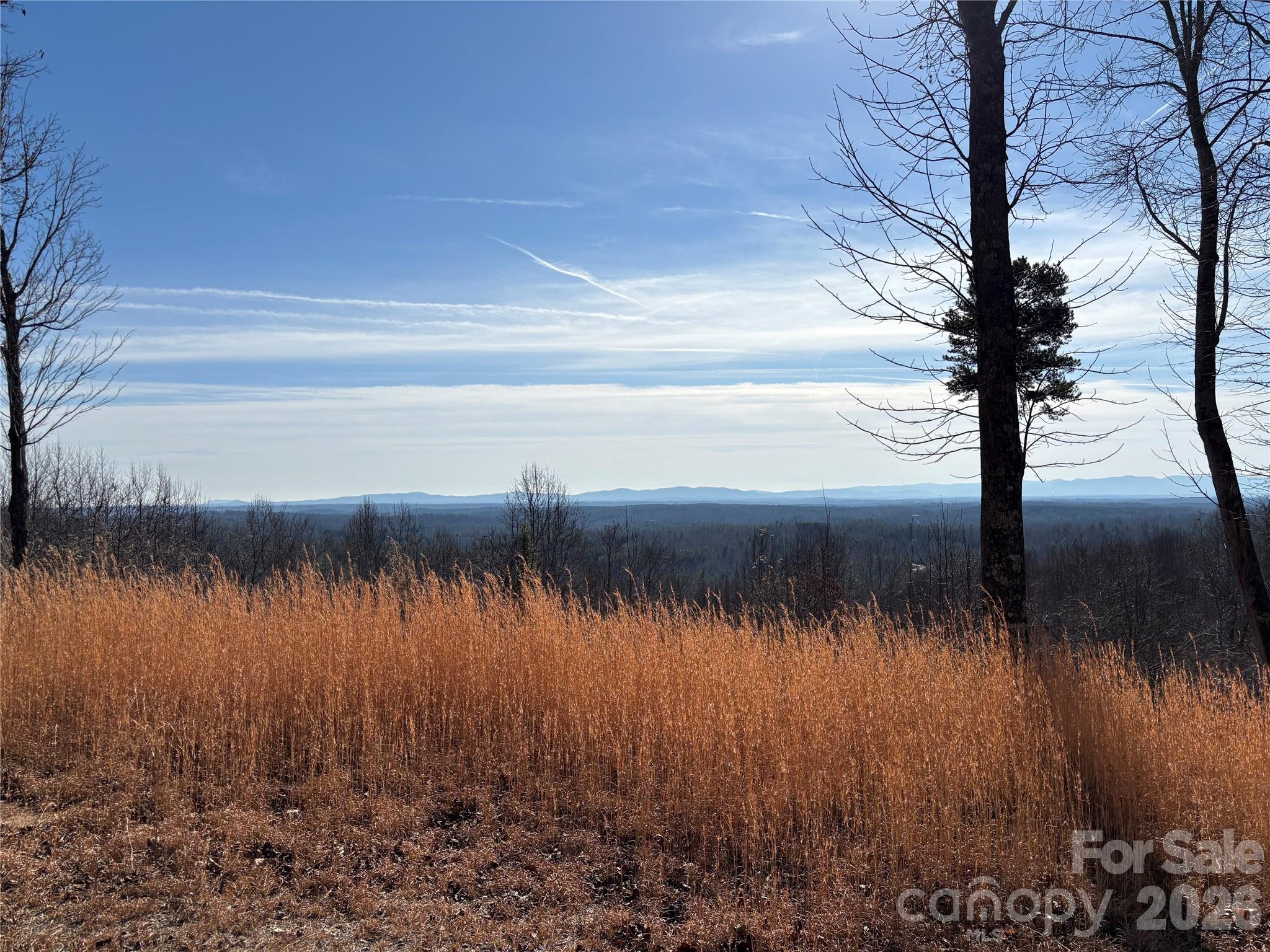 1234 Johns Ridge Parkway 204de Property Photo 6
