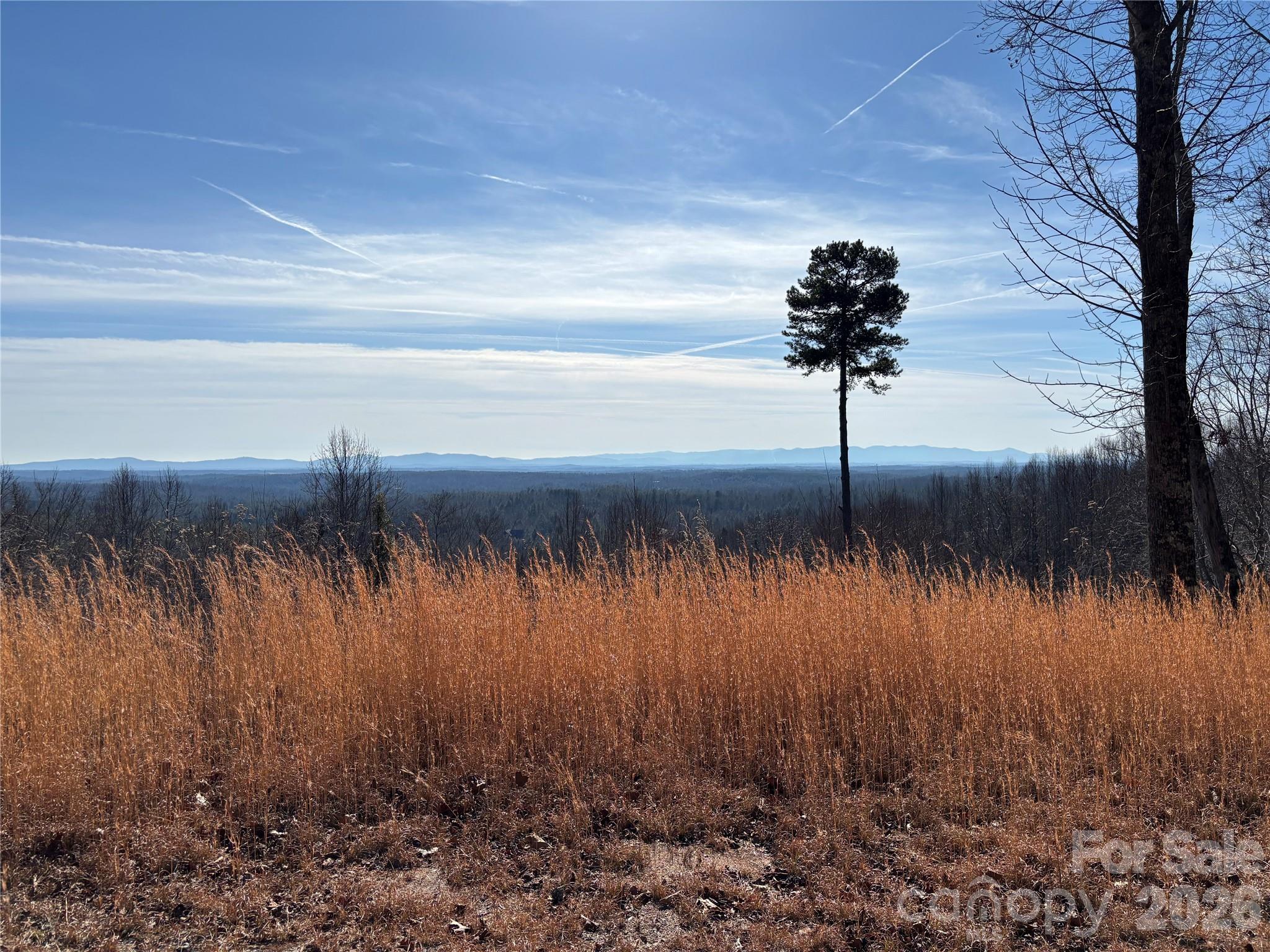 1234 Johns Ridge Parkway 204de Property Photo 7