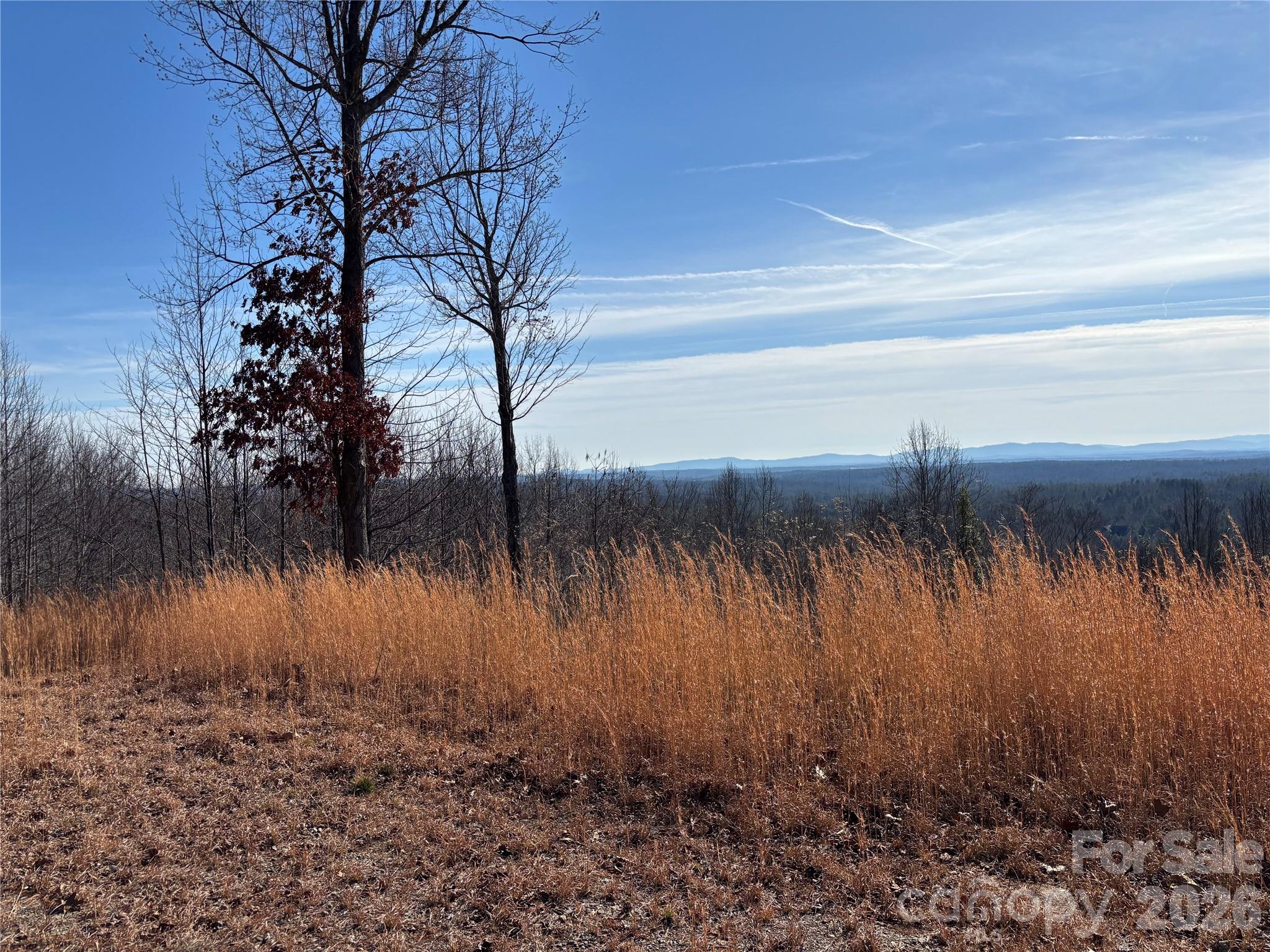 1234 Johns Ridge Parkway 204de Property Photo 8