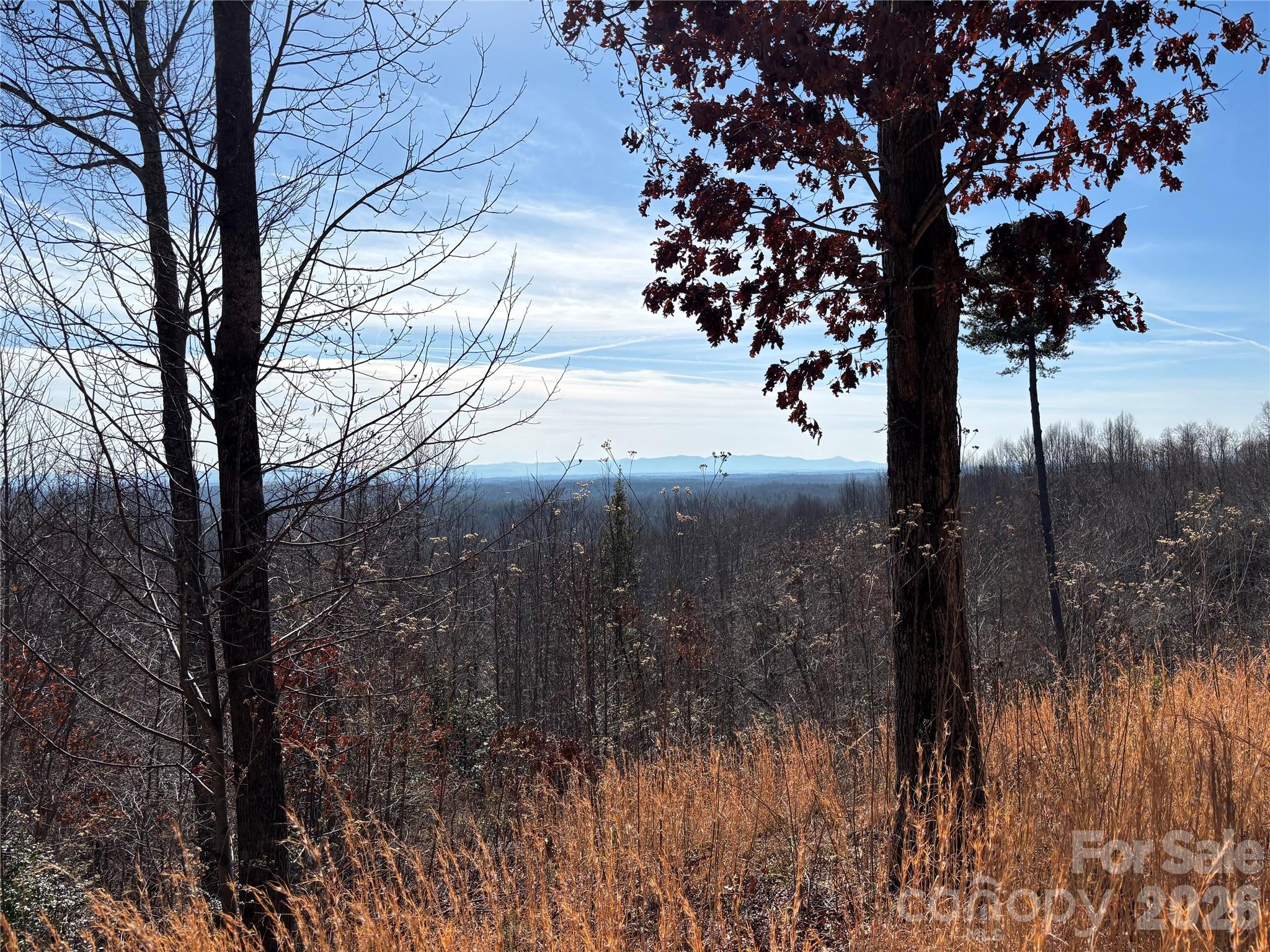1234 Johns Ridge Parkway 204de Property Photo 9