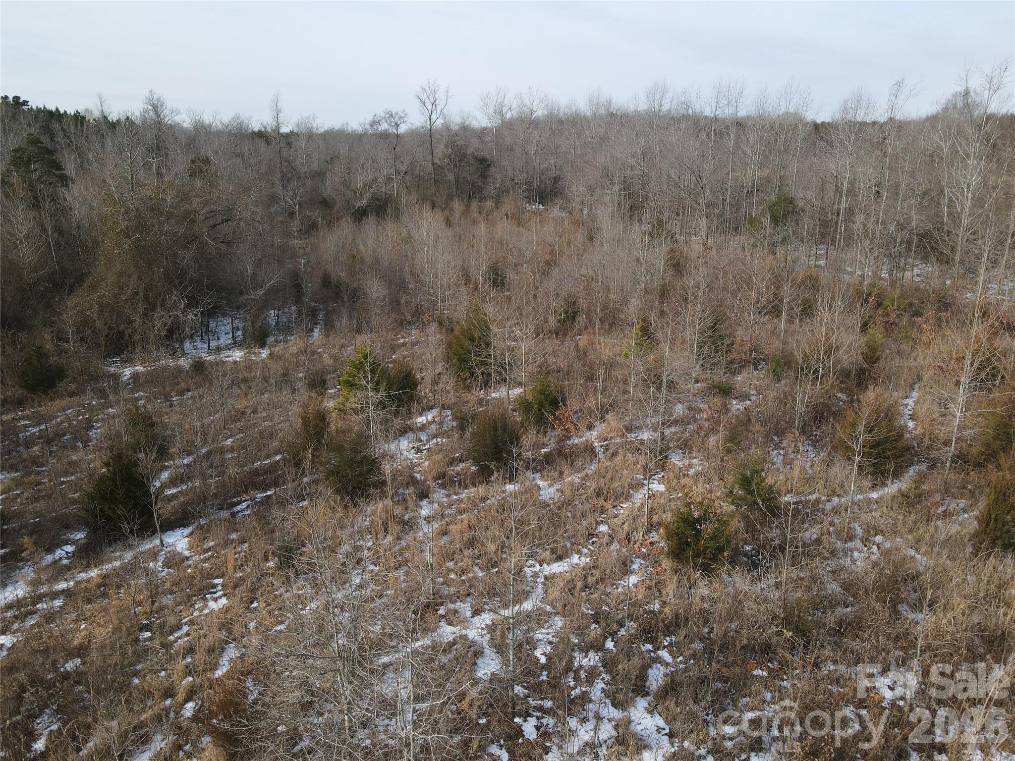 00 Oakley Road Property Photo 21