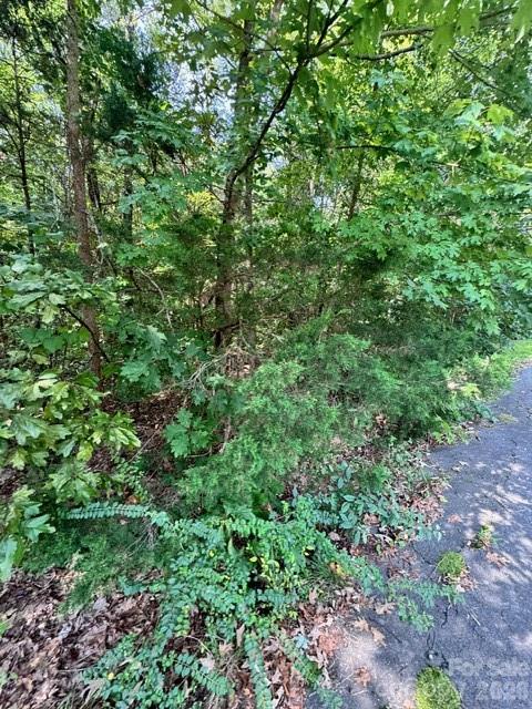 8323 Washington Boulevard Property Photo 3