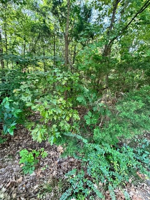 8323 Washington Boulevard Property Photo 4