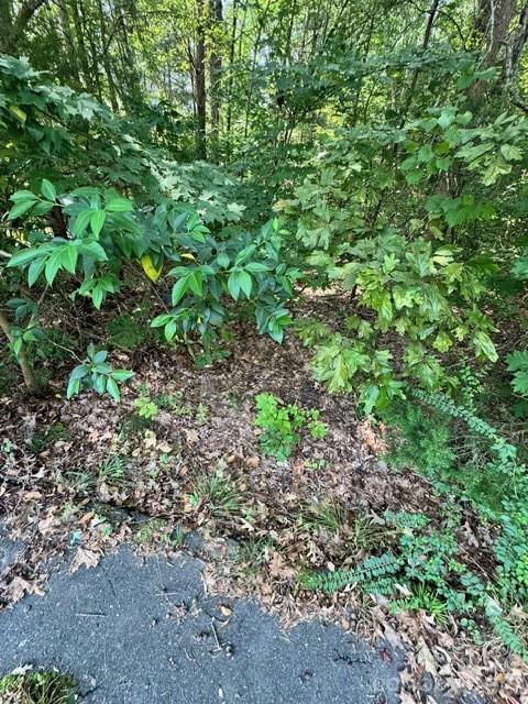 8323 Washington Boulevard Property Photo 5