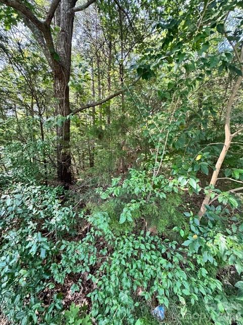 8323 Washington Boulevard Property Photo 6