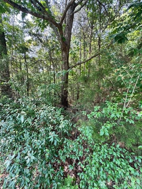 8323 Washington Boulevard Property Photo 7