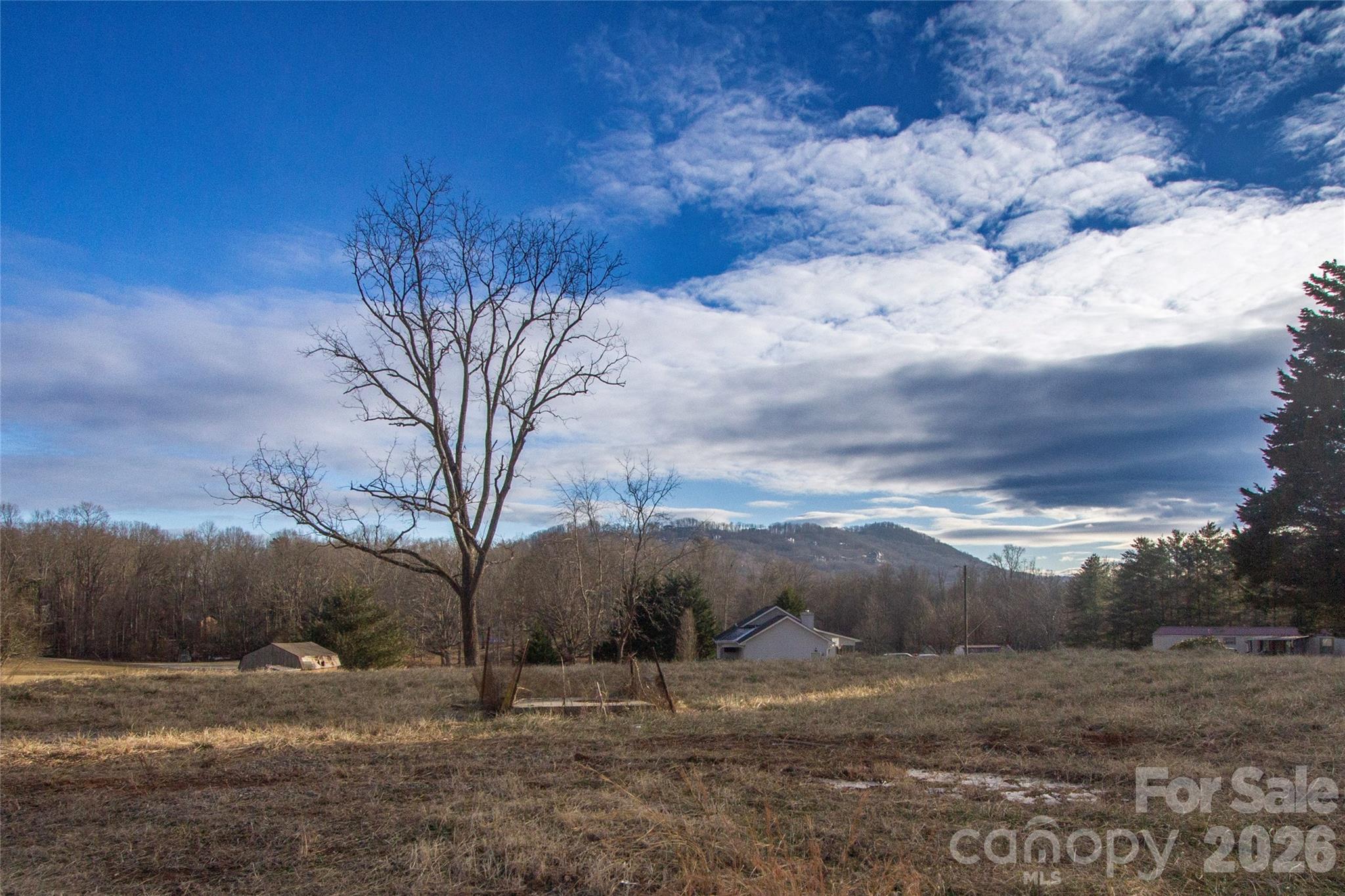 203 Southern Charm Road Property Photo 32