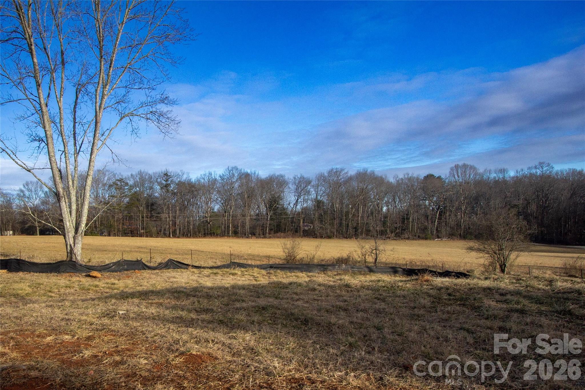 203 Southern Charm Road Property Photo 33