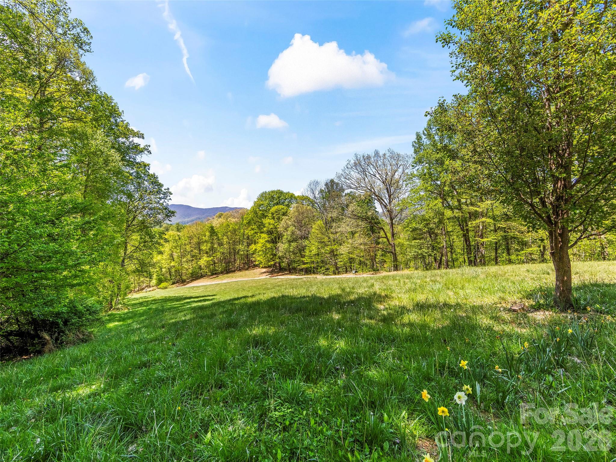 110 Mailon King Road Property Photo 29