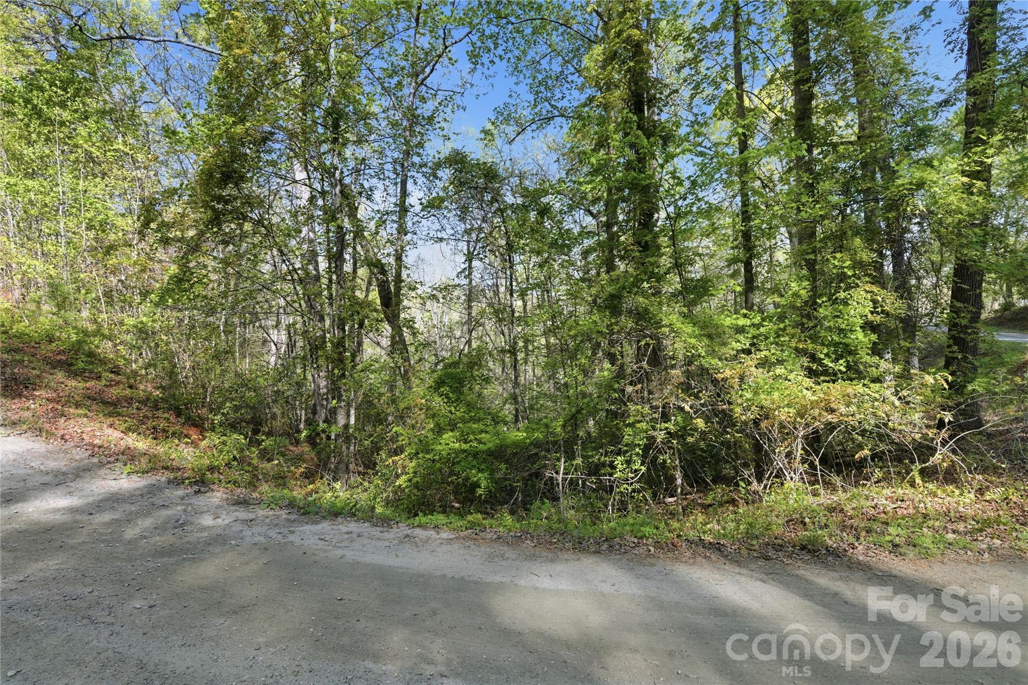 0 Wolf Trail 030 Property Photo 4