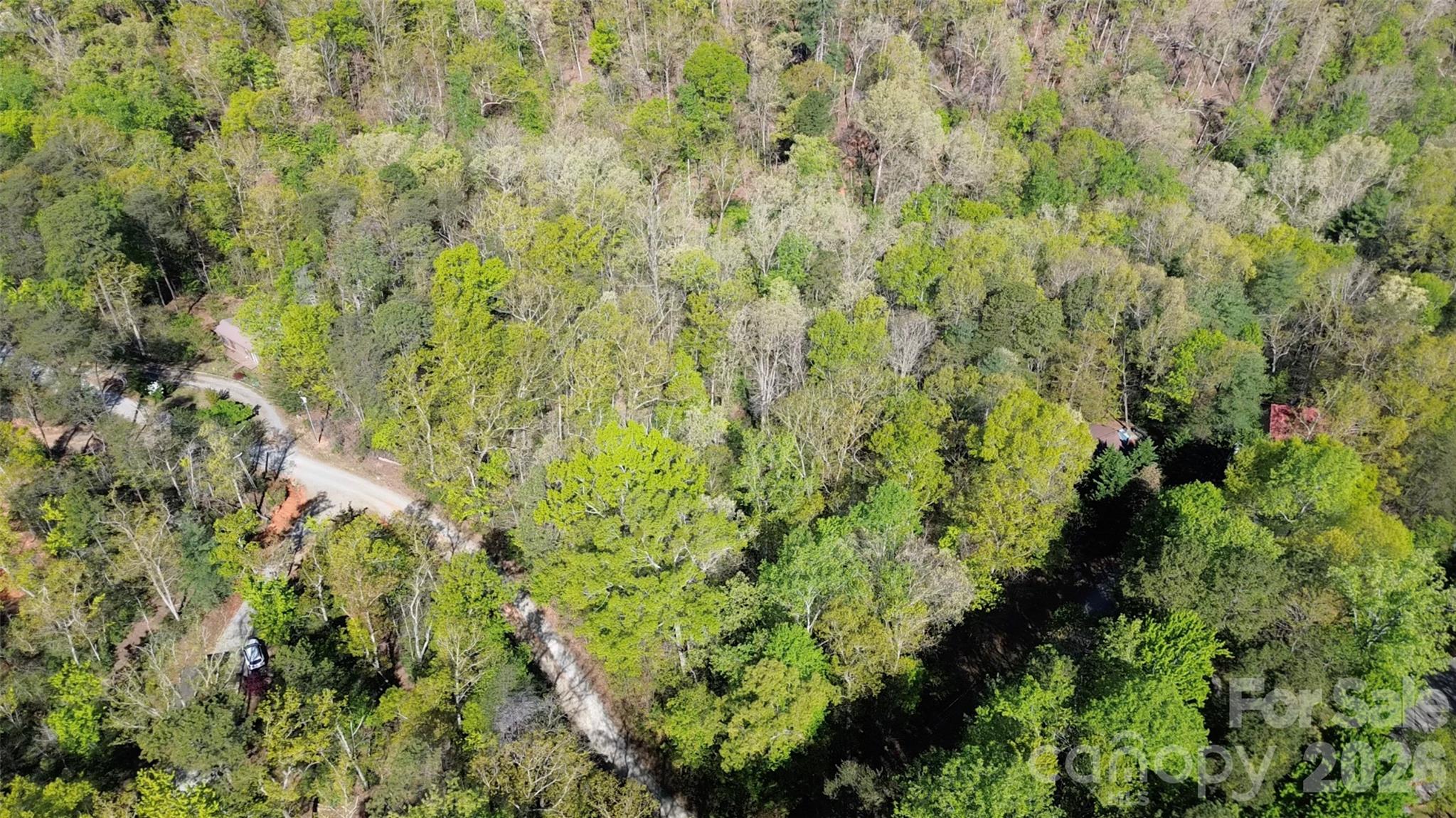 0 Wolf Trail 030 Property Photo 5