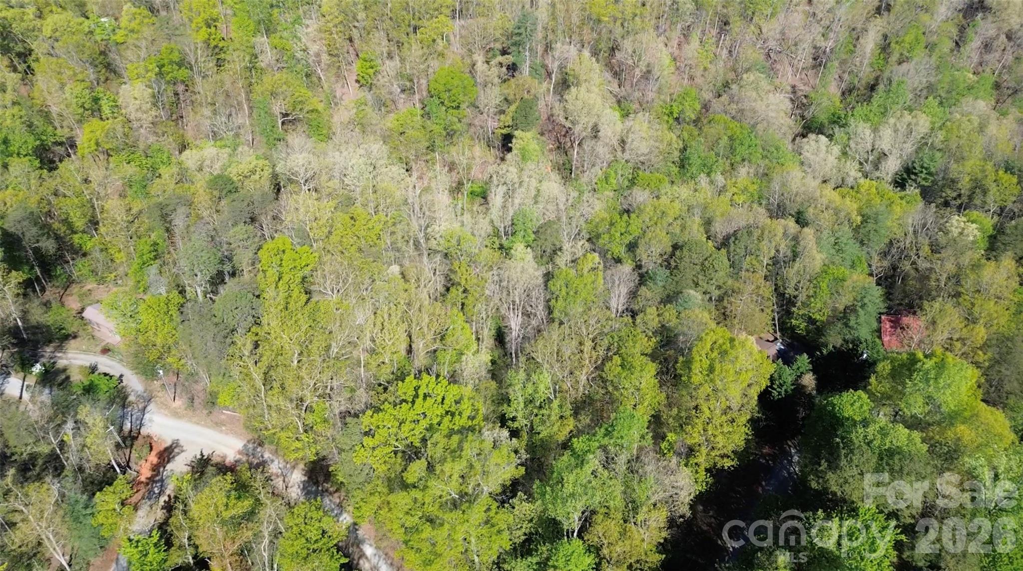 0 Wolf Trail 030 Property Photo 6
