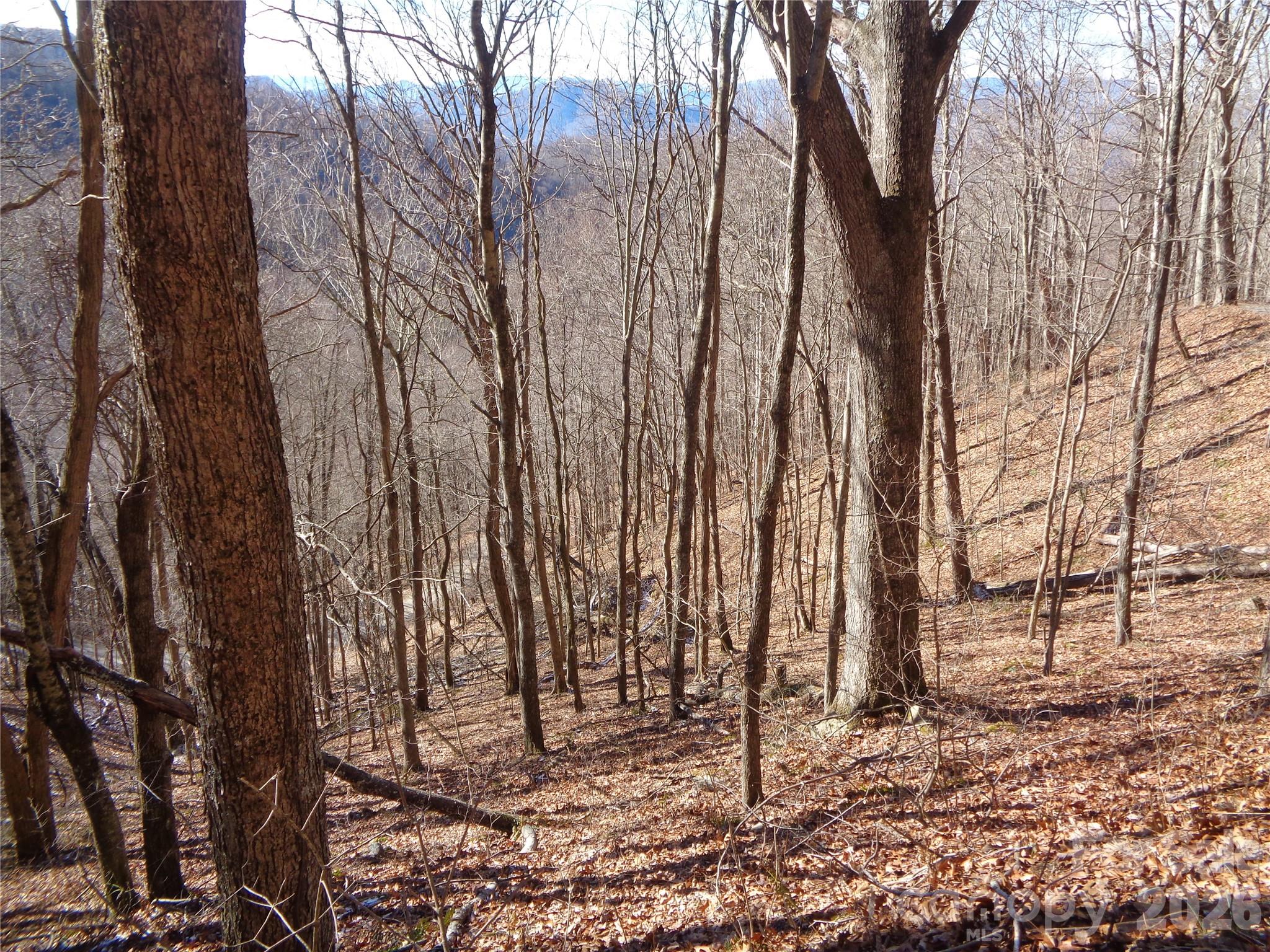 00 Listening Cove 41 Property Photo 2