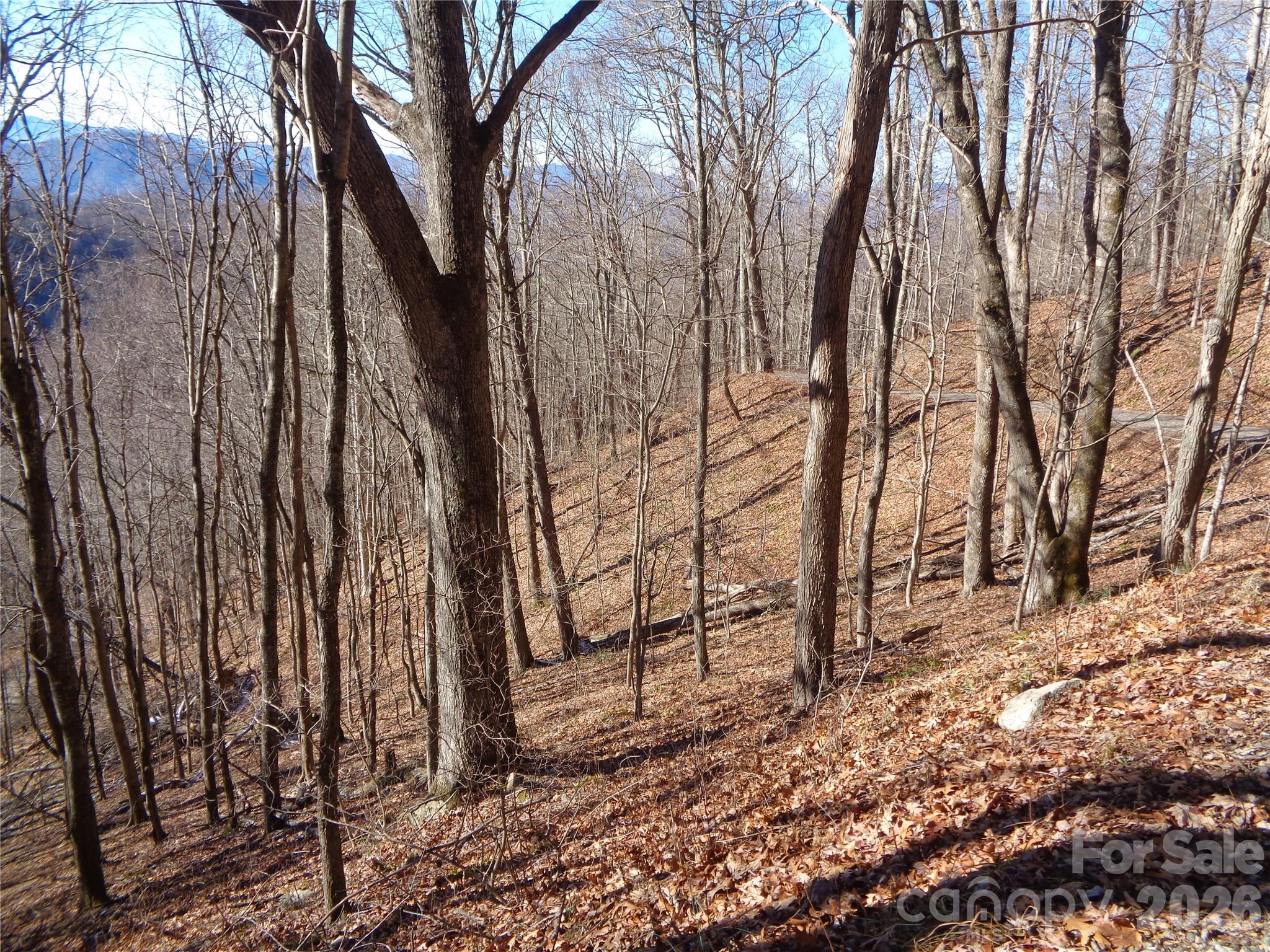 00 Listening Cove 41 Property Photo 3