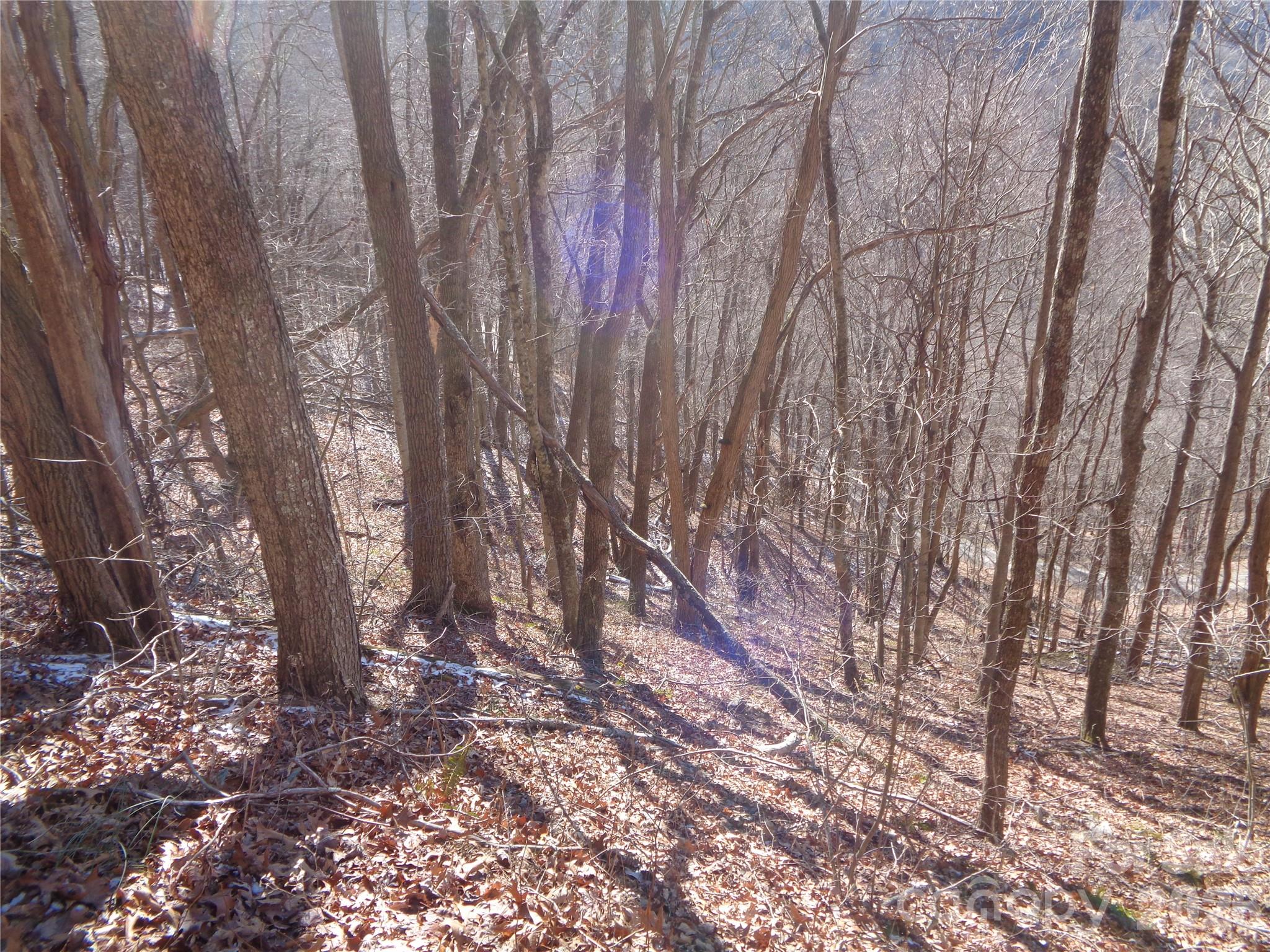 00 Listening Cove 41 Property Photo 5