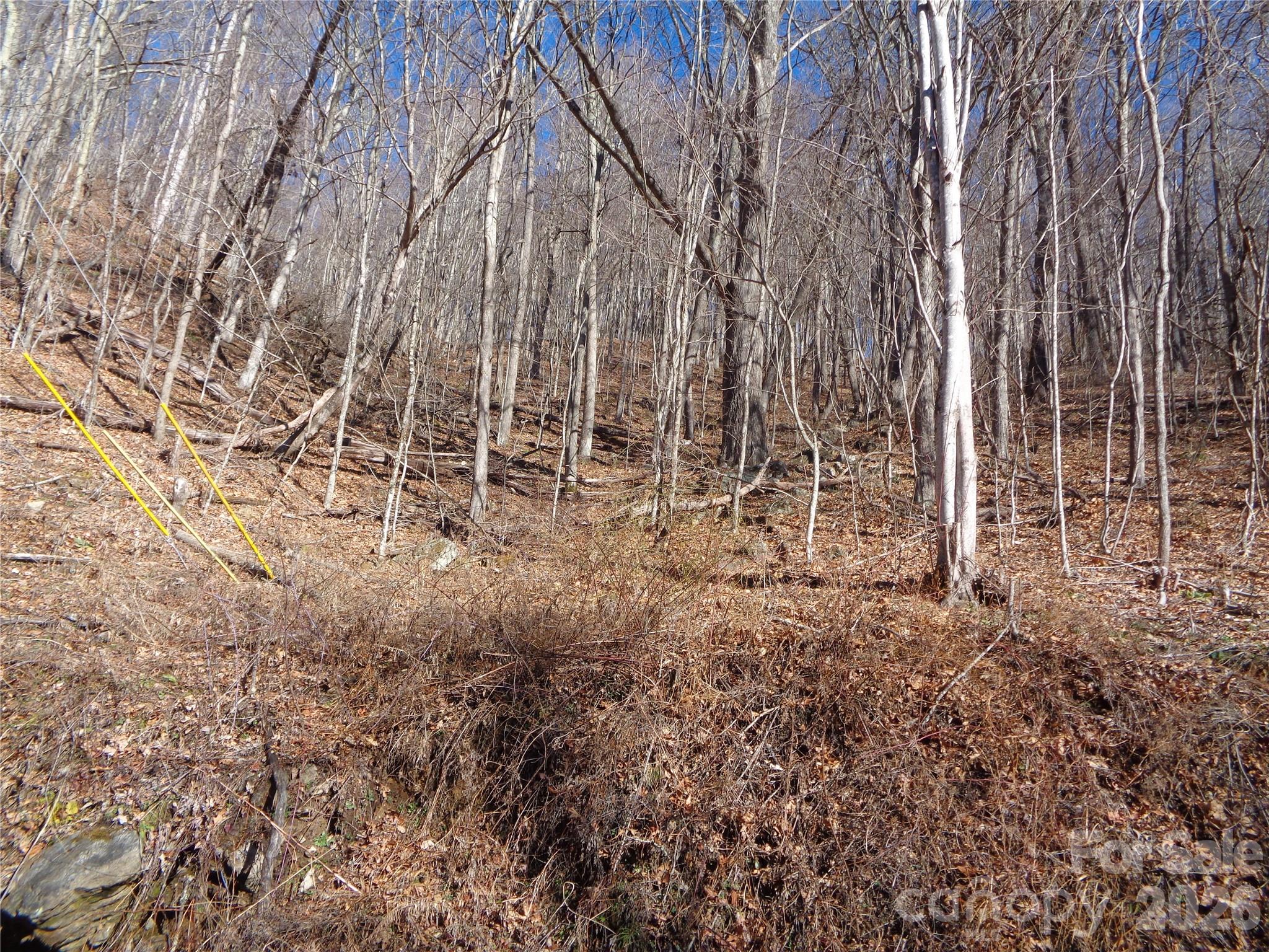 00 Listening Cove 41 Property Photo 10