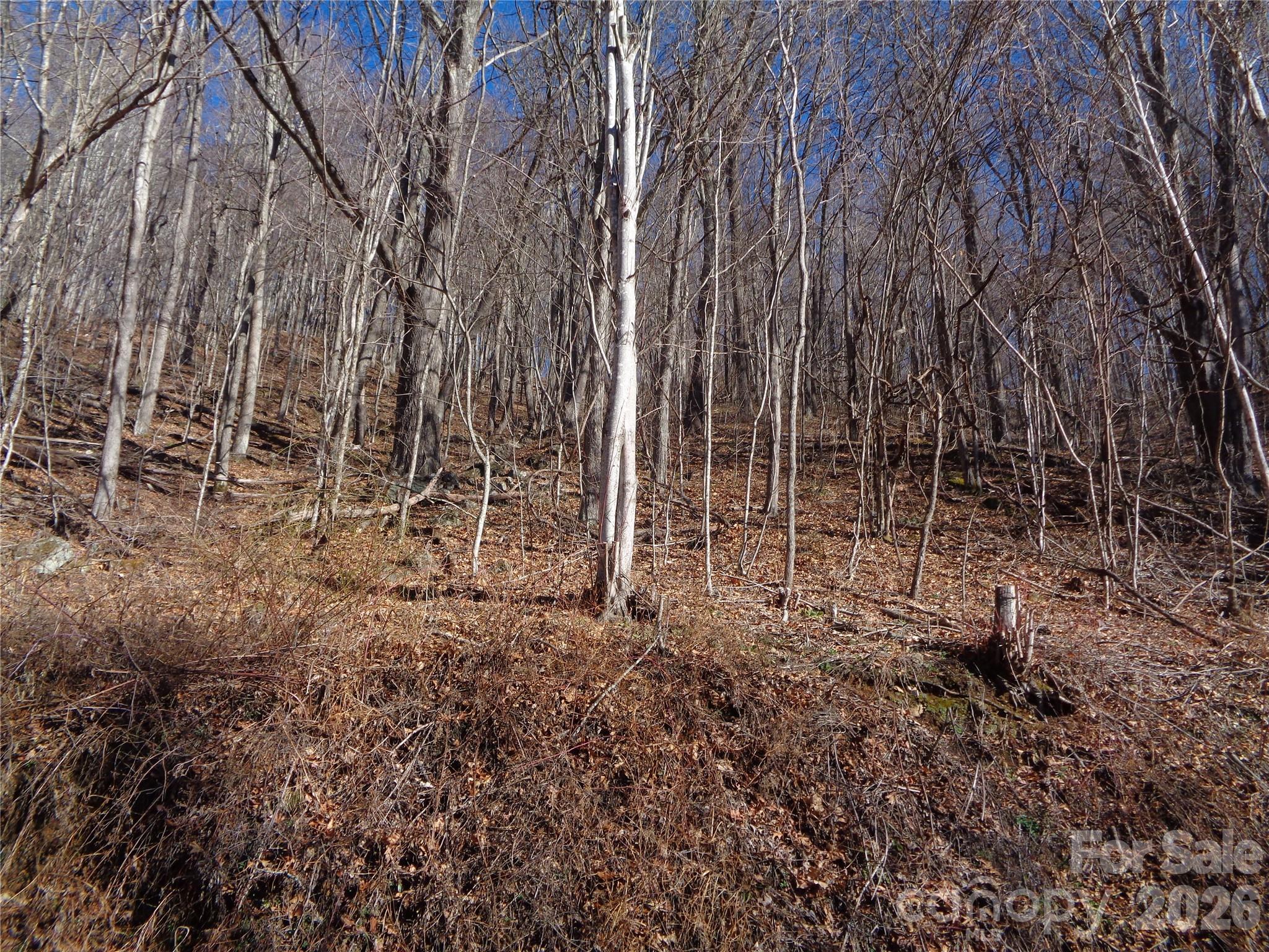 00 Listening Cove 41 Property Photo 11