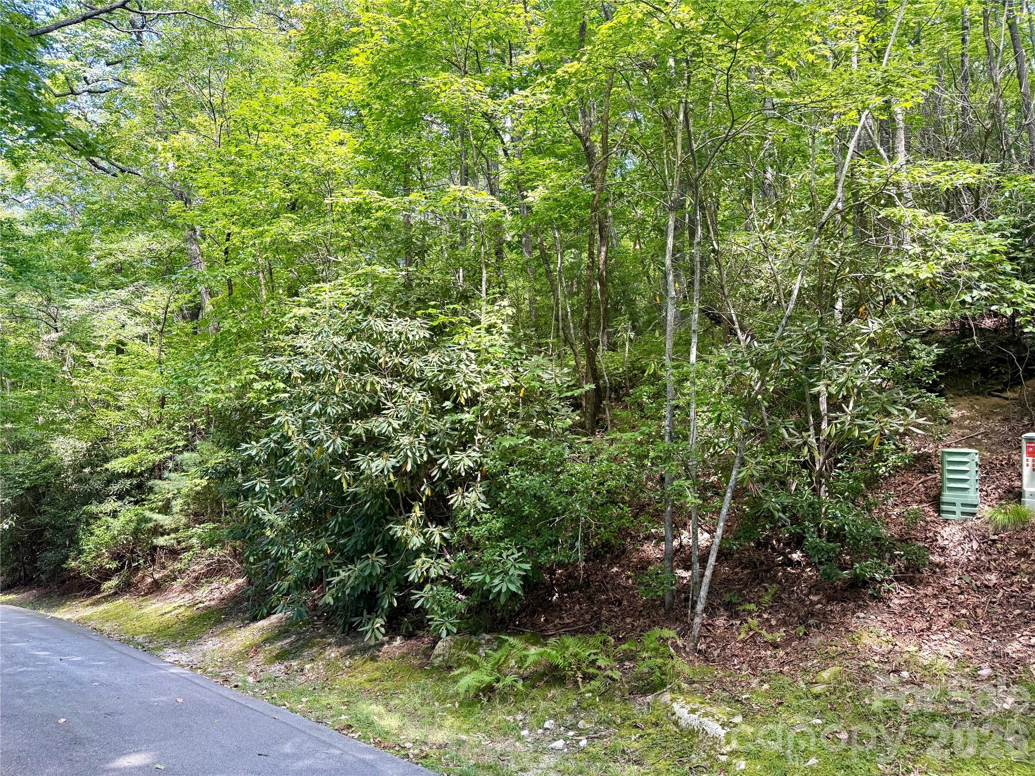 115 Black Oak Drive Property Photo 1