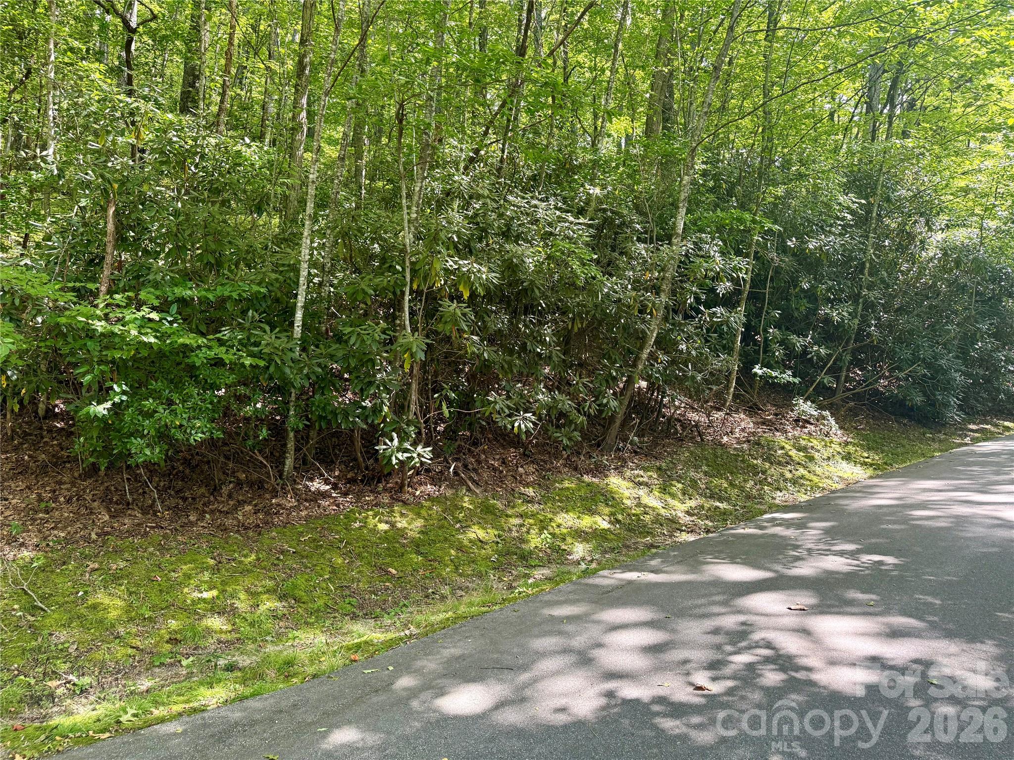 115 Black Oak Drive Property Photo 2