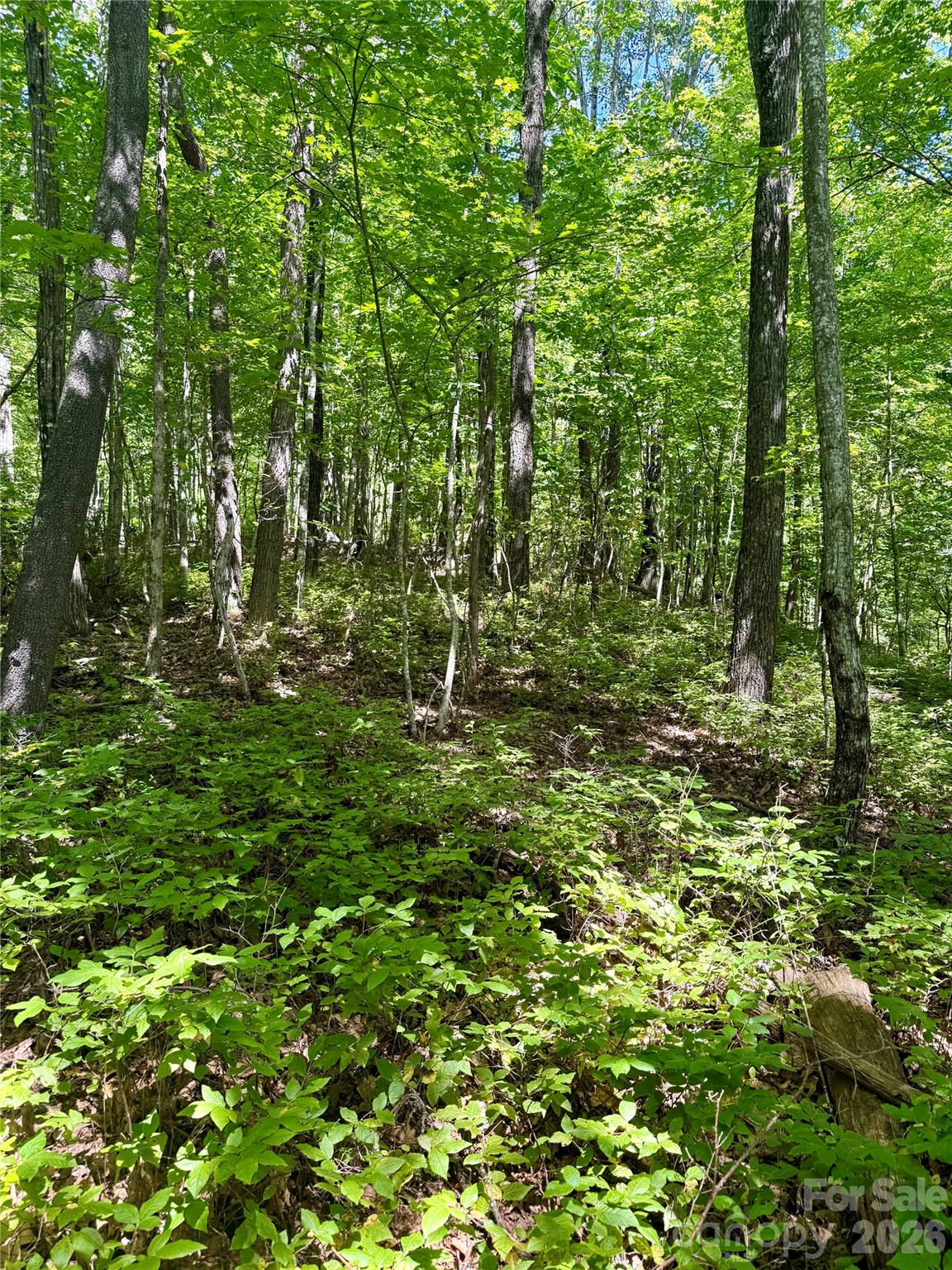 115 Black Oak Drive Property Photo 4