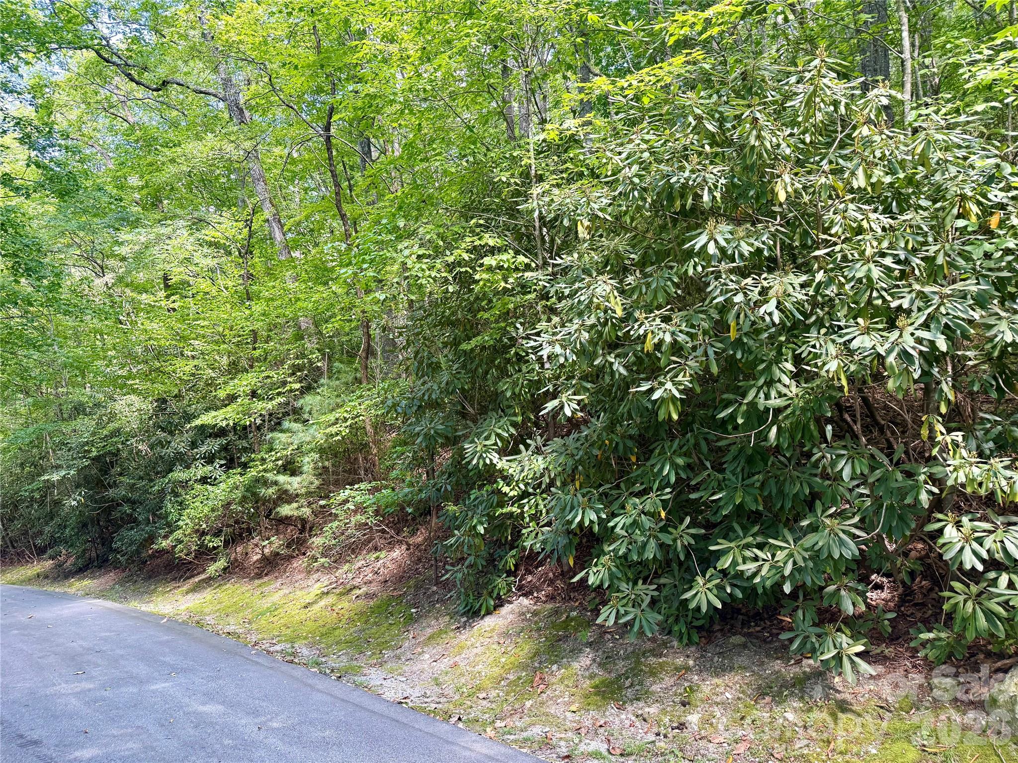 115 Black Oak Drive Property Photo 5