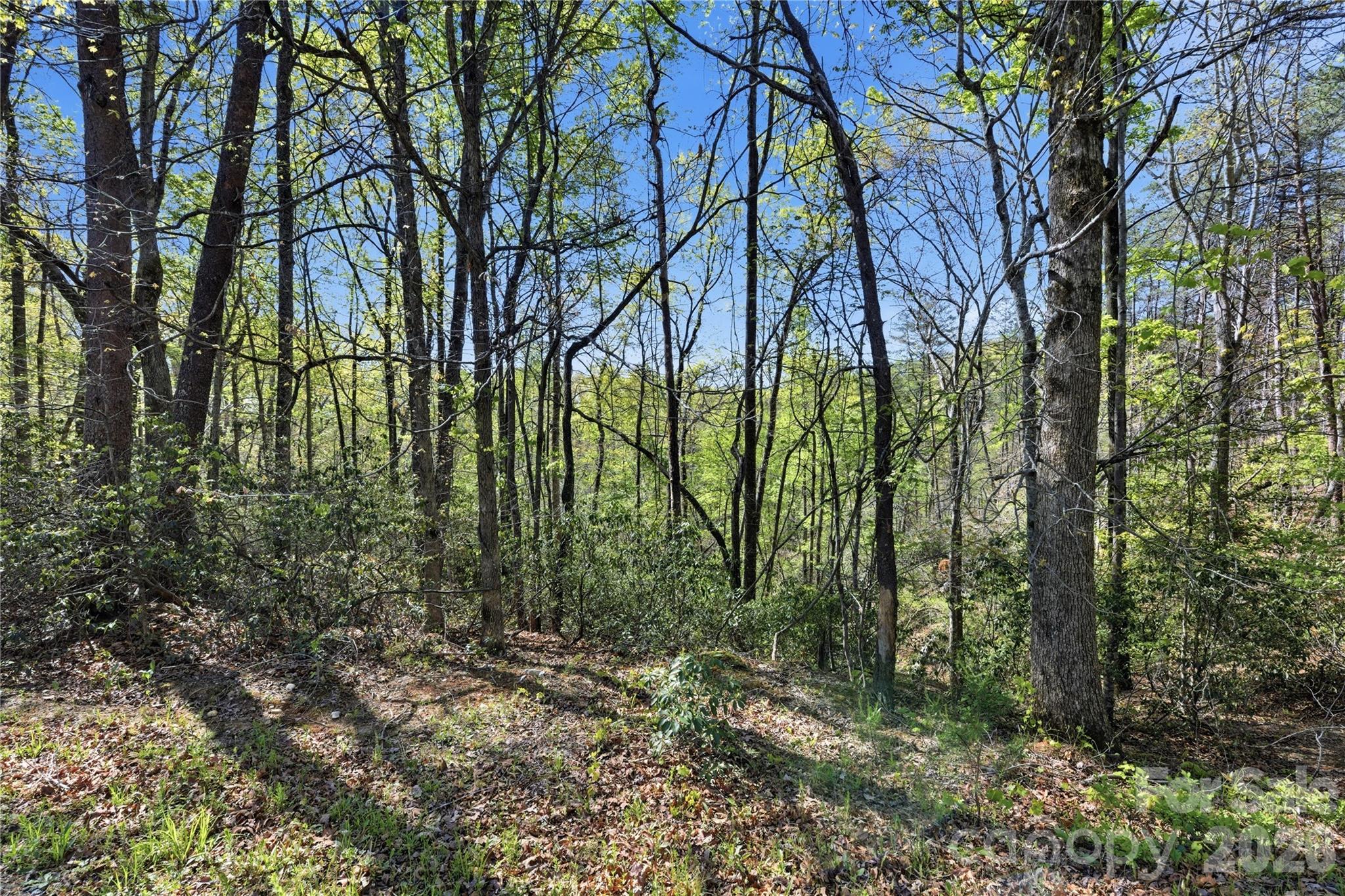 Lot 304 Sanderling Court 304 Property Photo 8